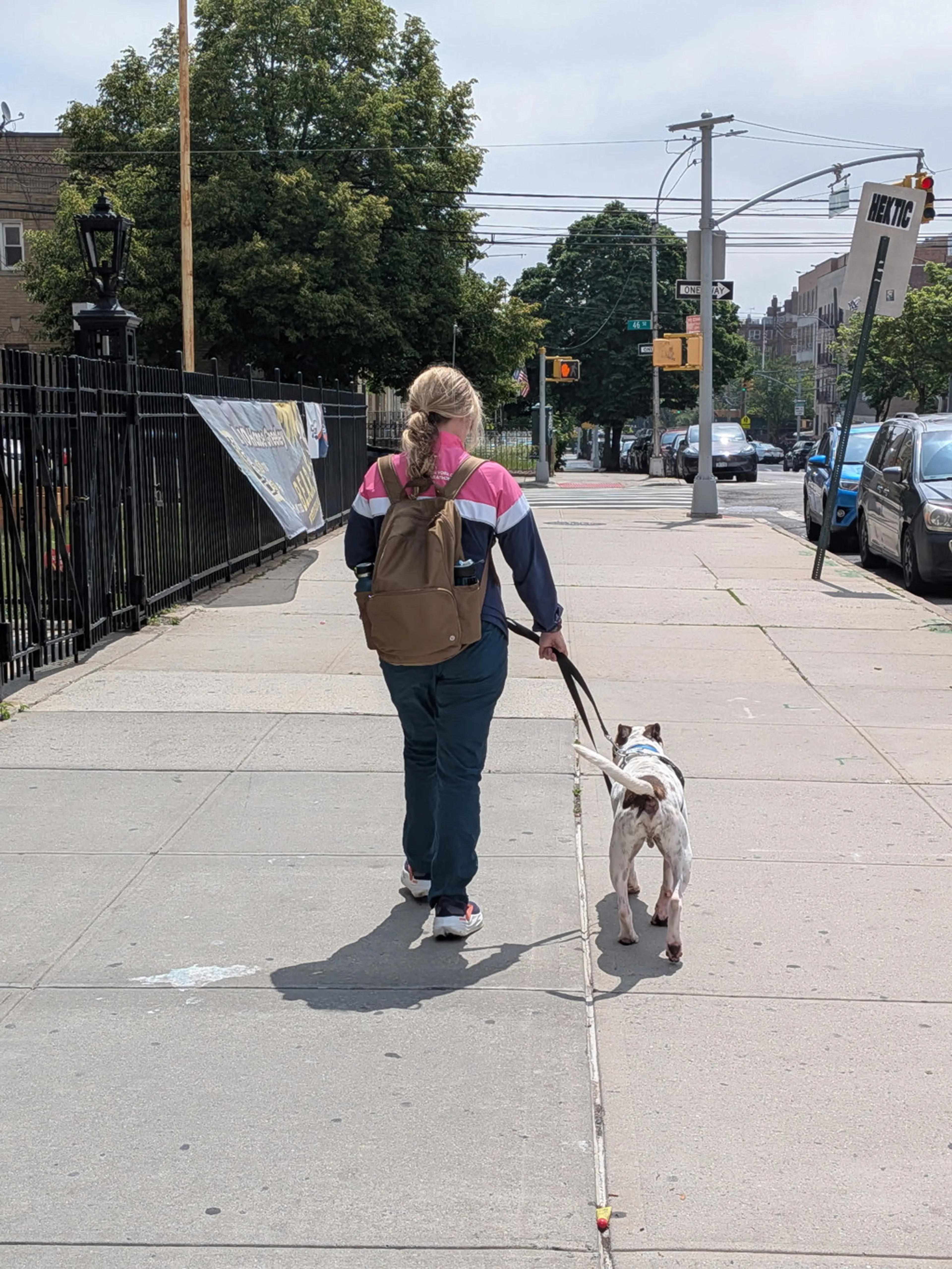 Found pet-1