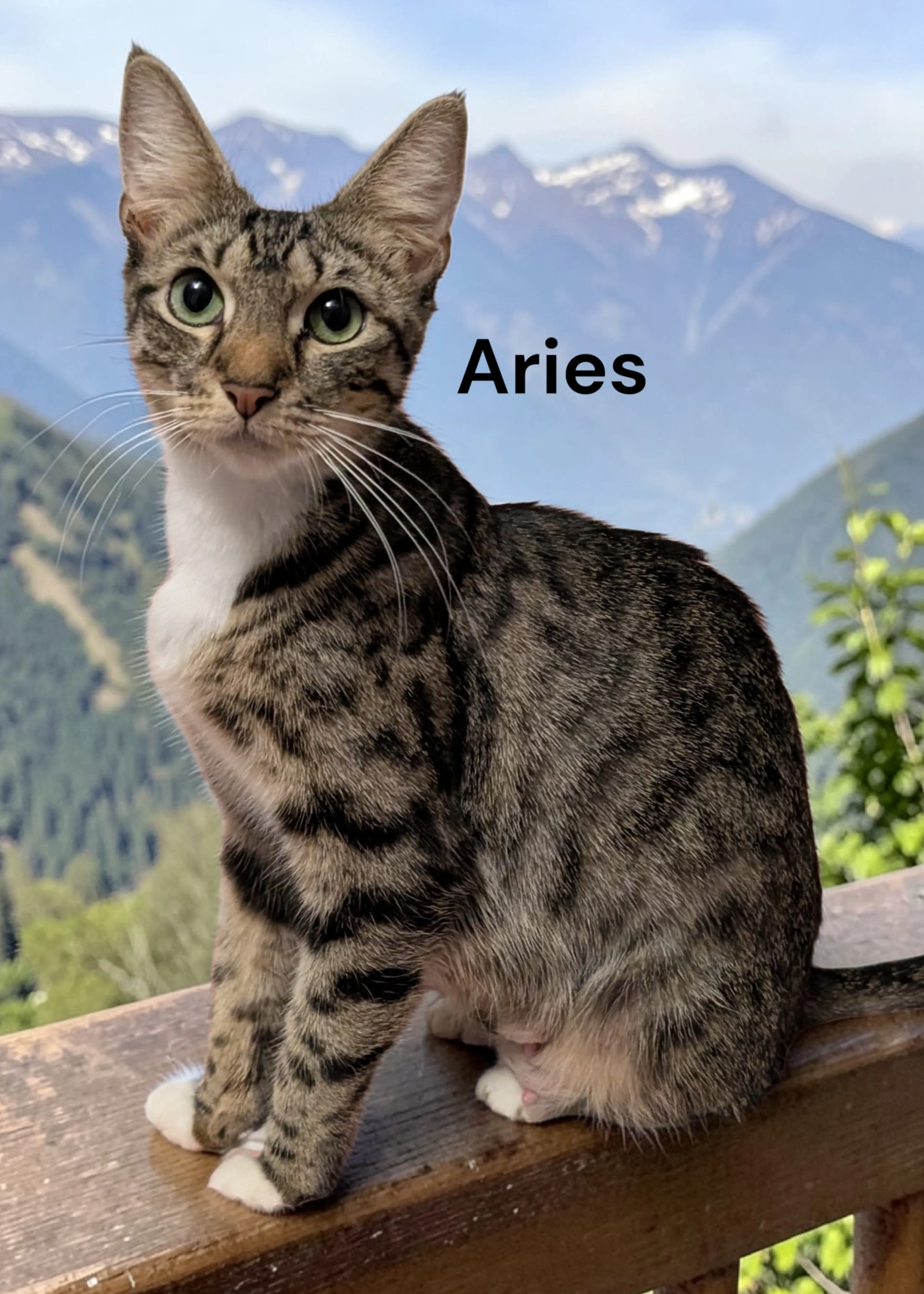 -0