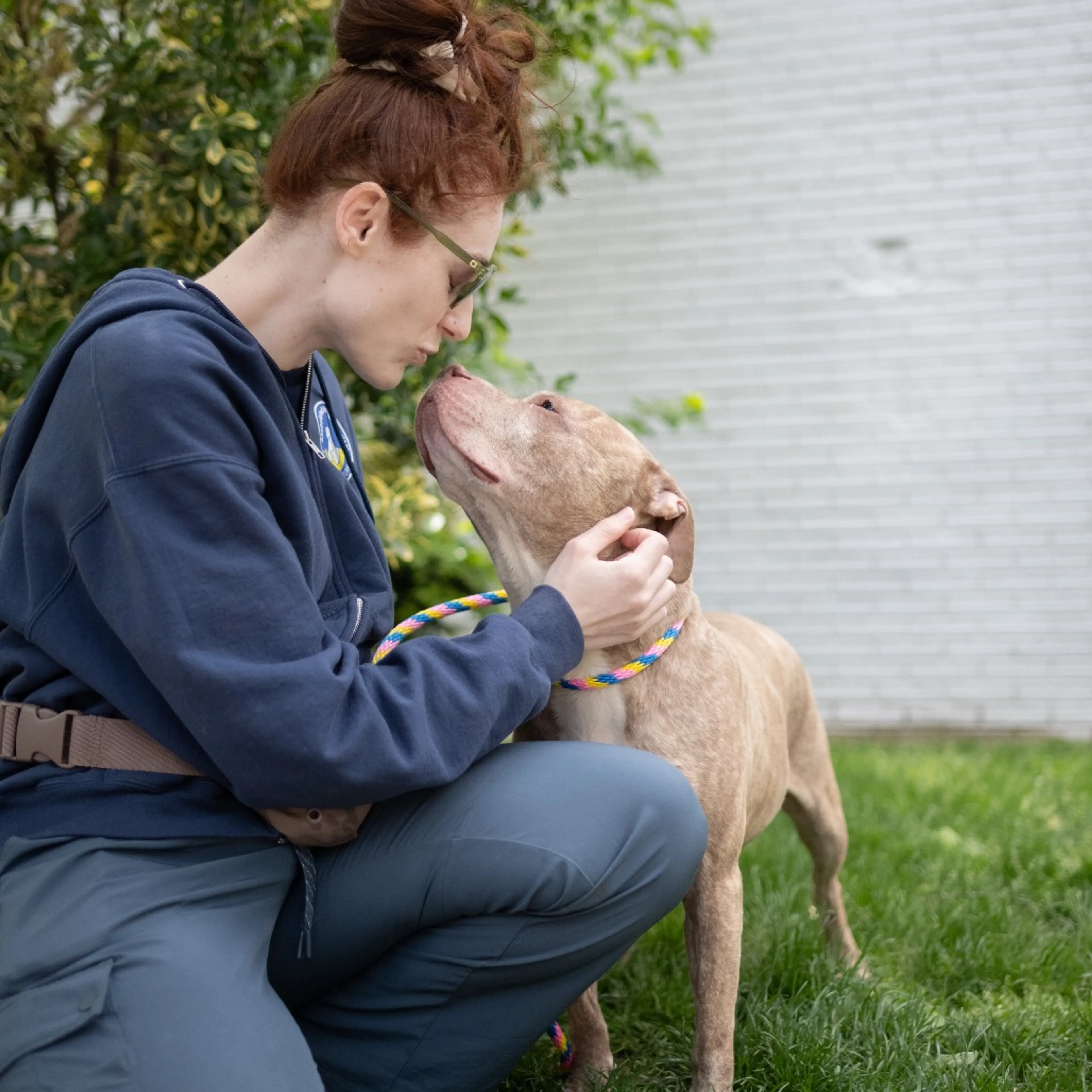 Found pet-6