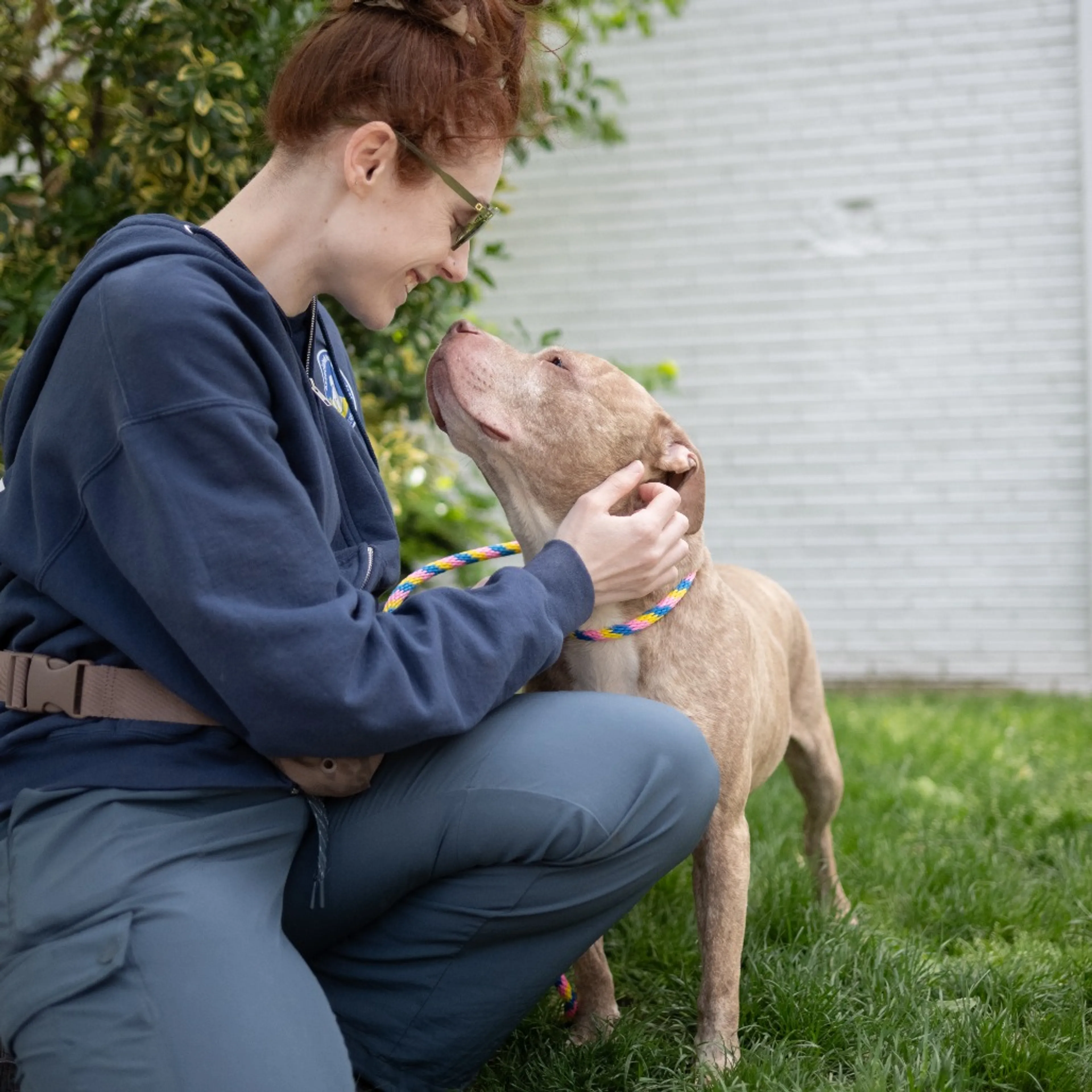 Found pet-7