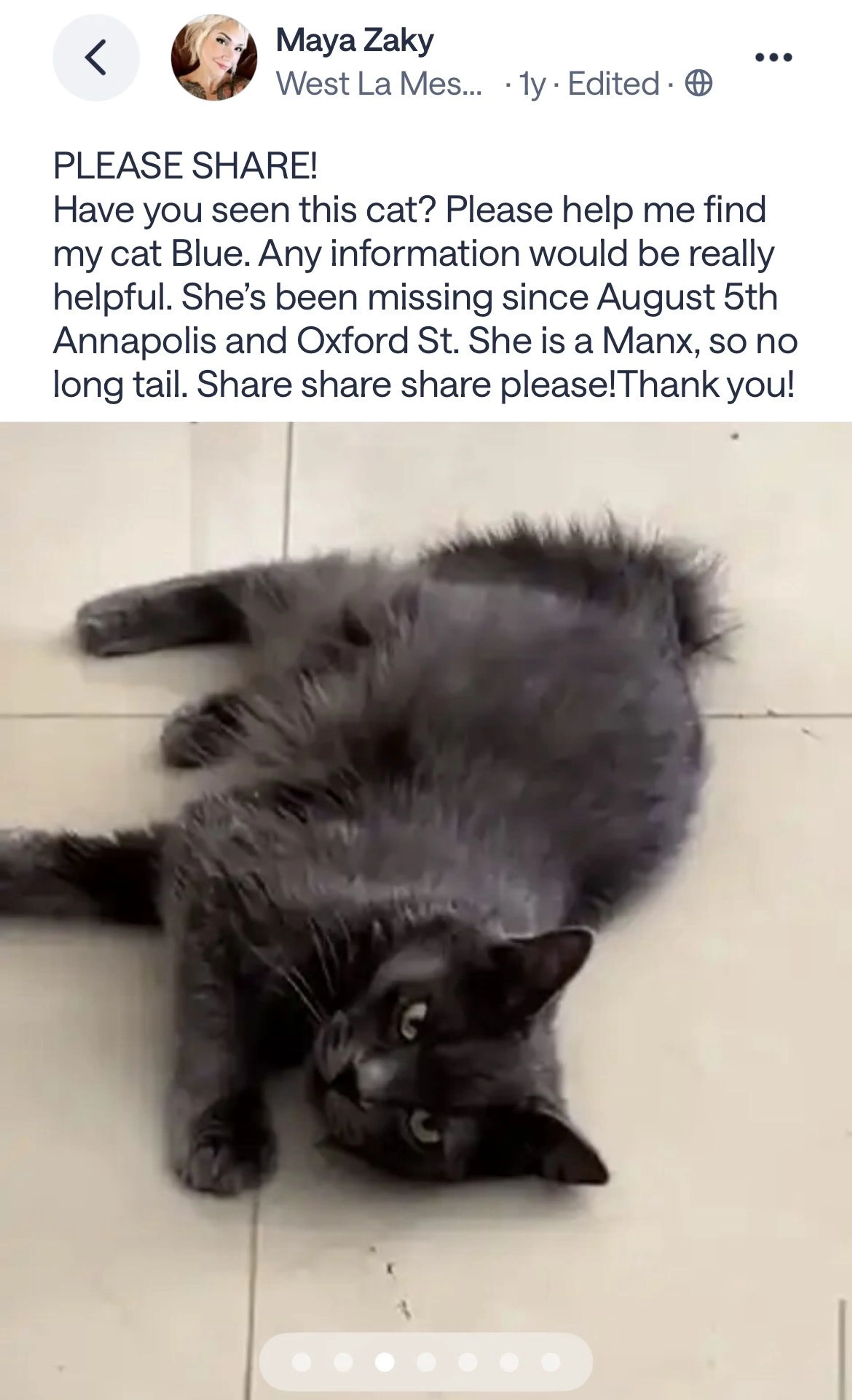 Lost pet-2