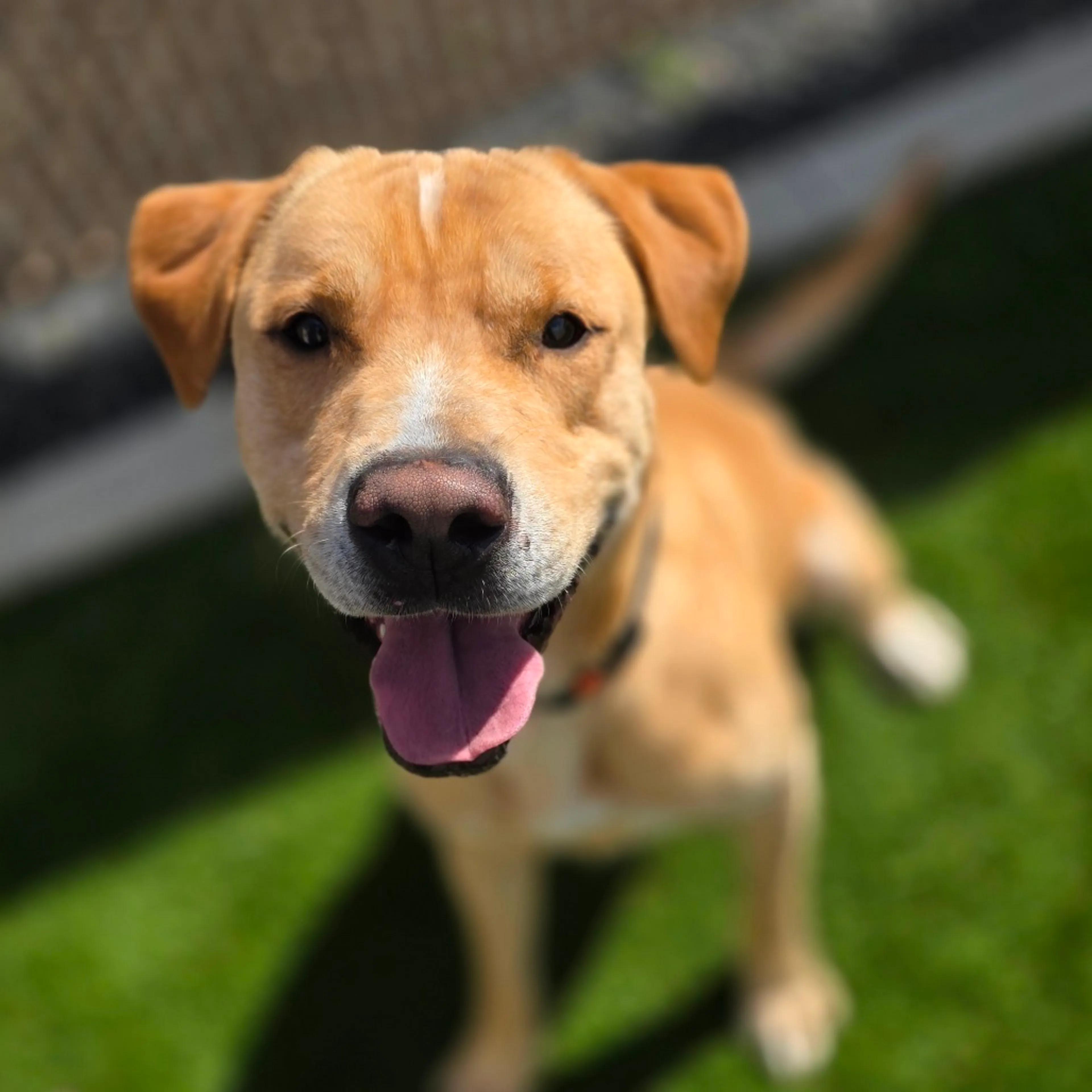 -0