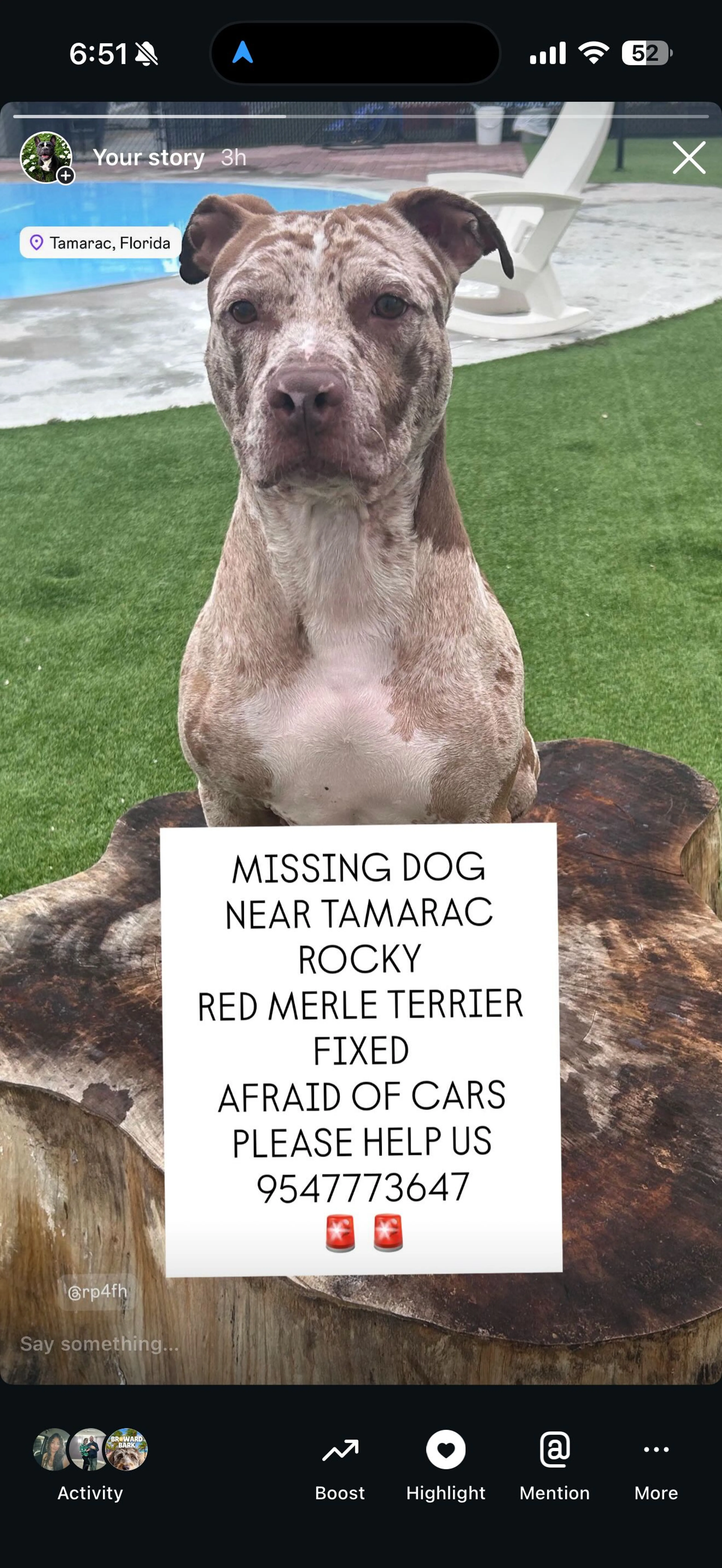 Lost pet