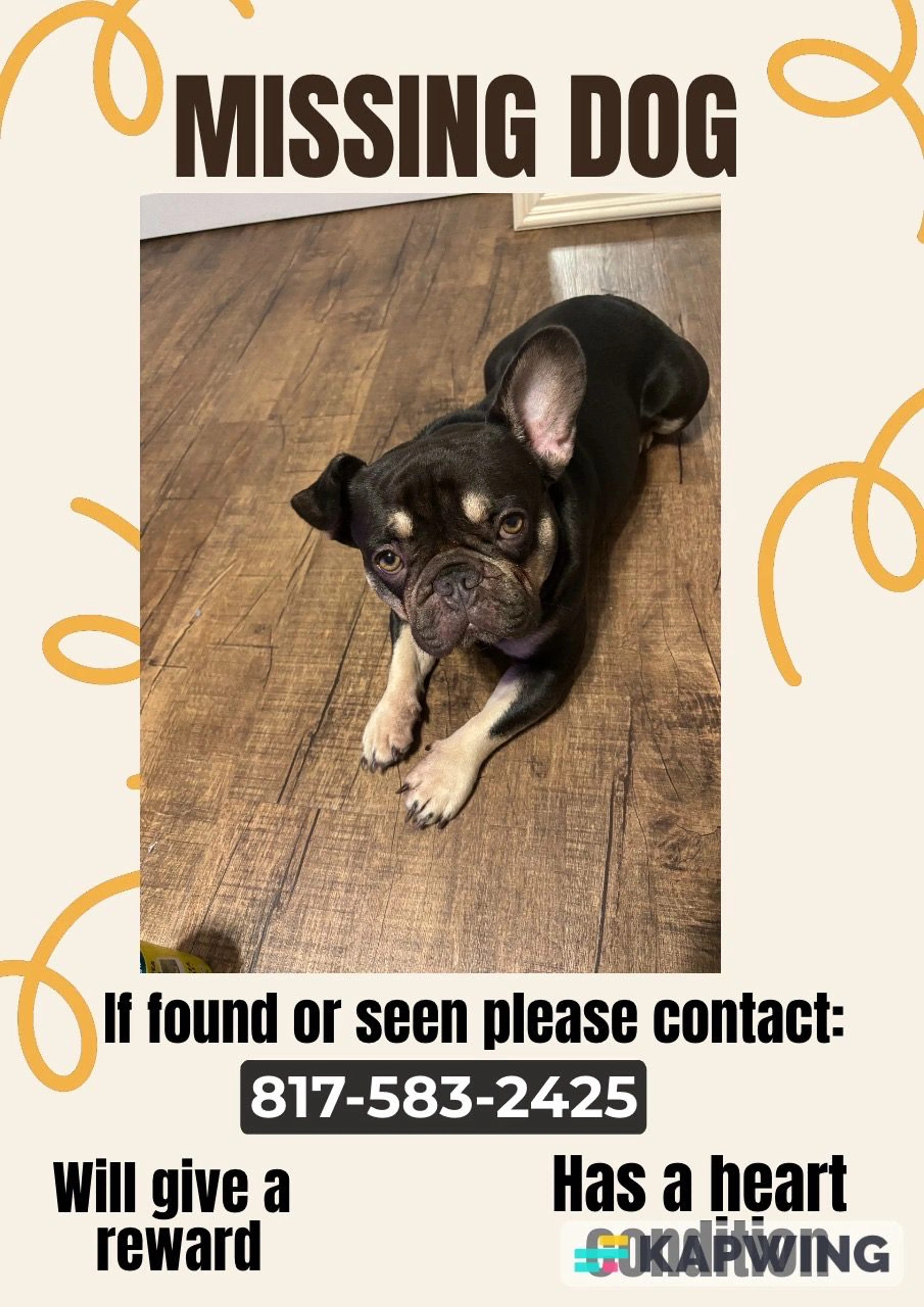 Lost pet