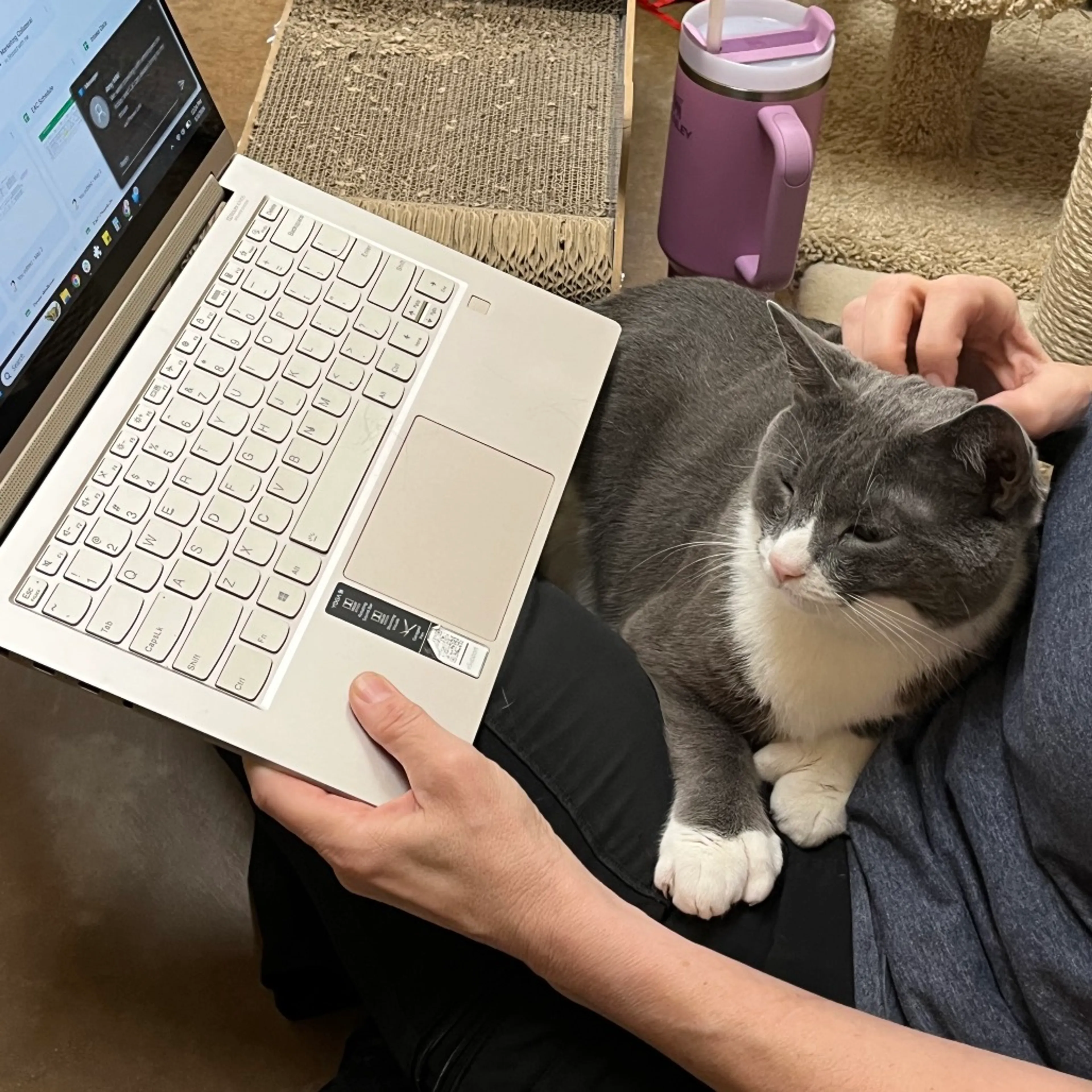 Found pet-9