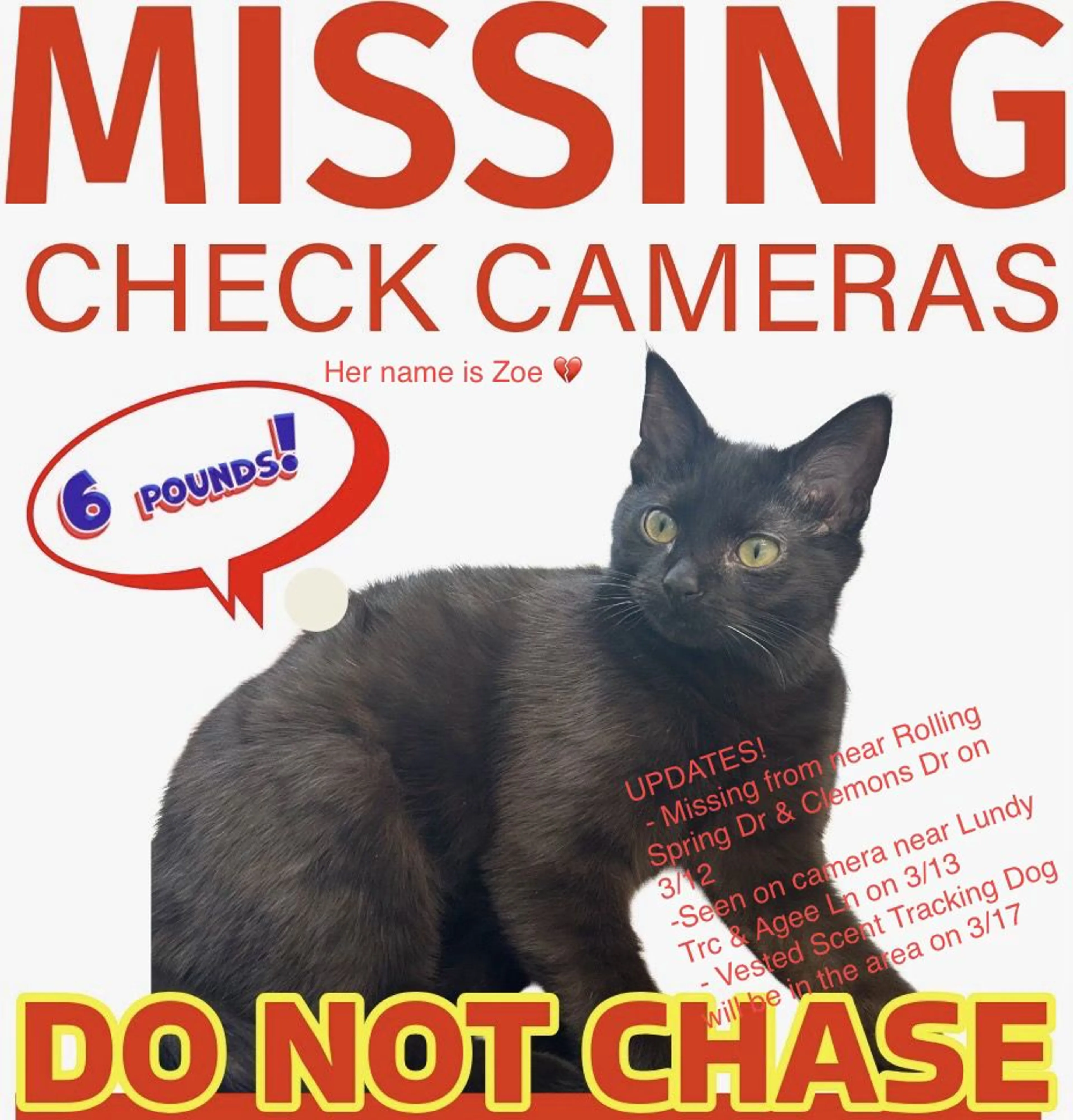 Lost pet