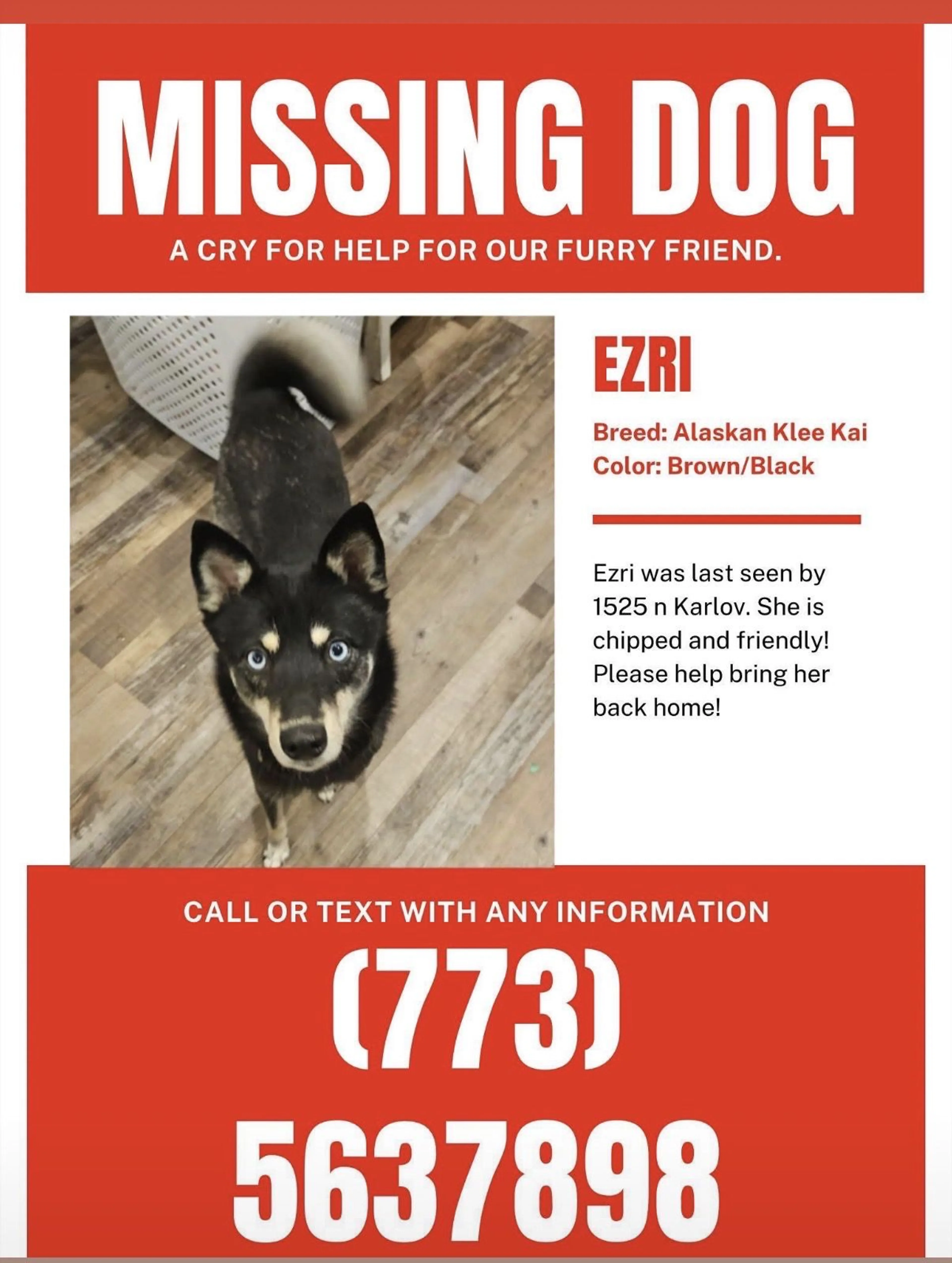 Lost pet