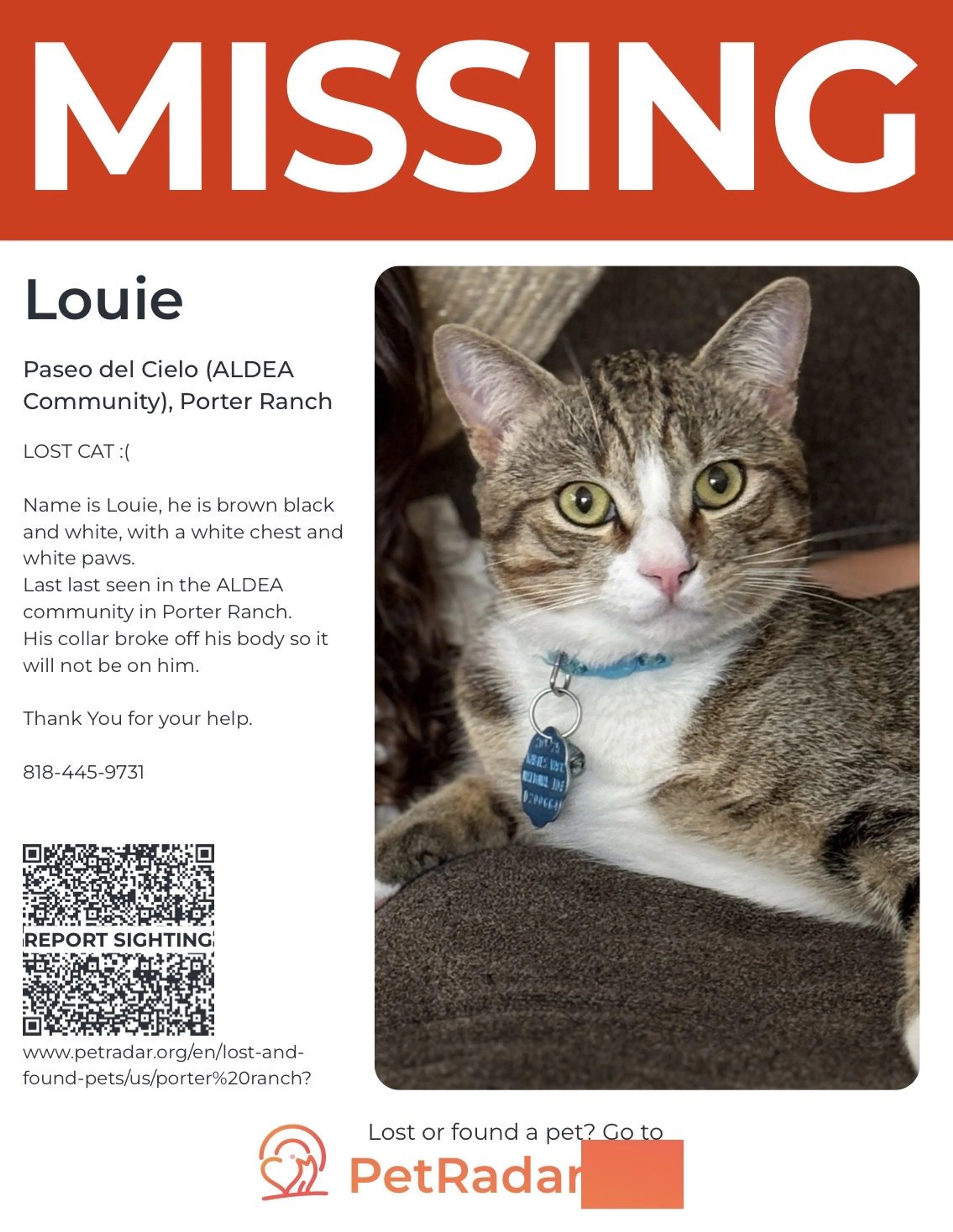 Lost pet-2