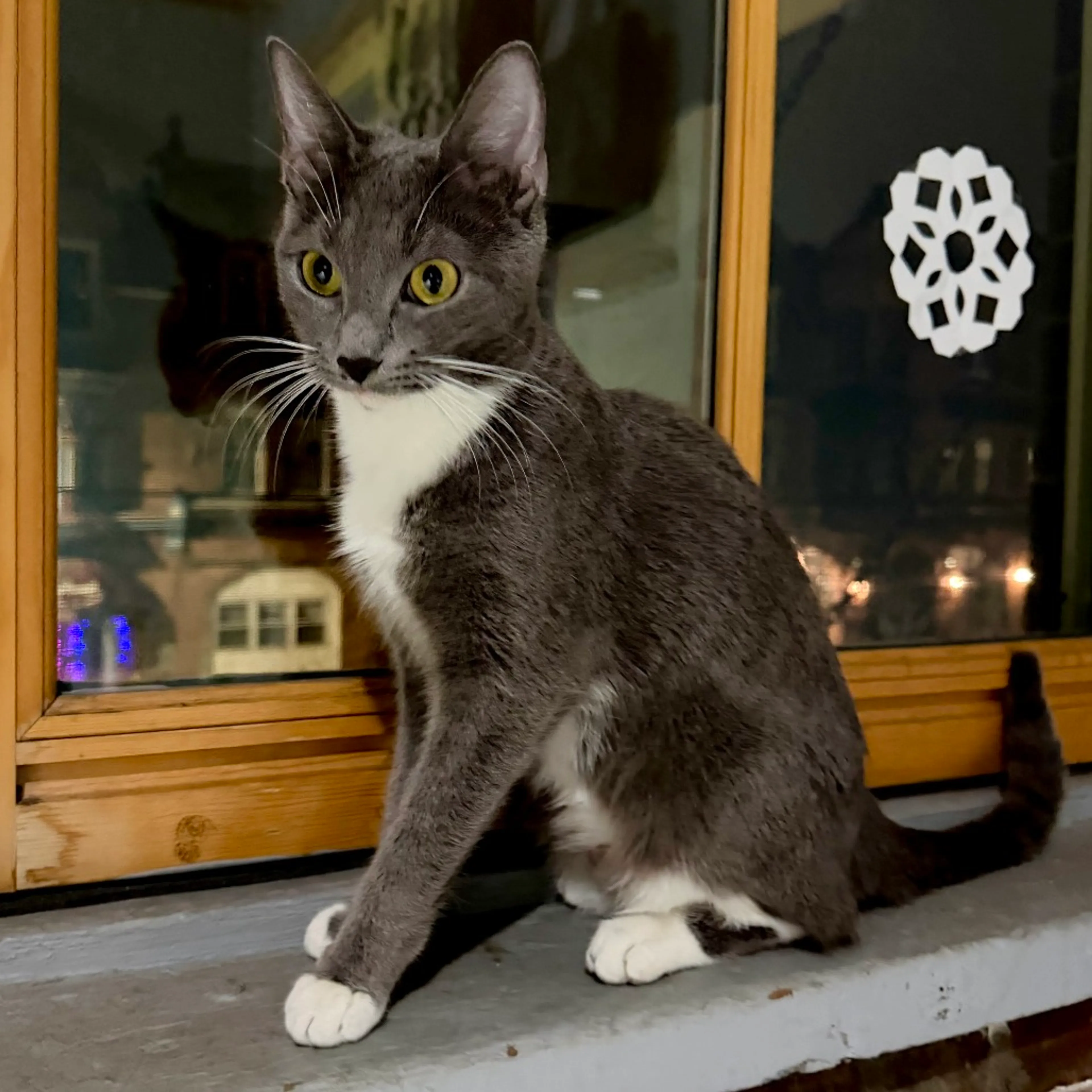 -1