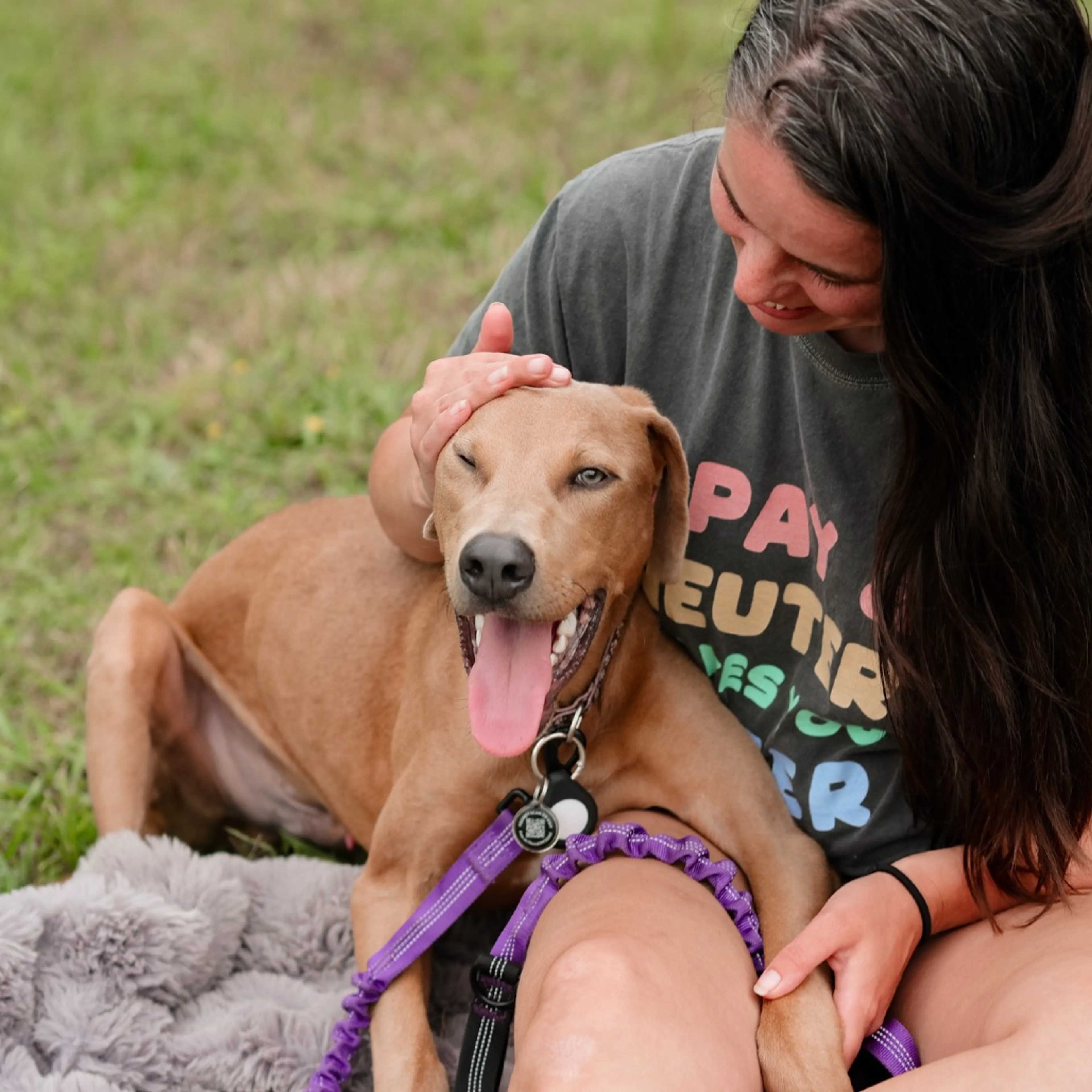 Found pet-11