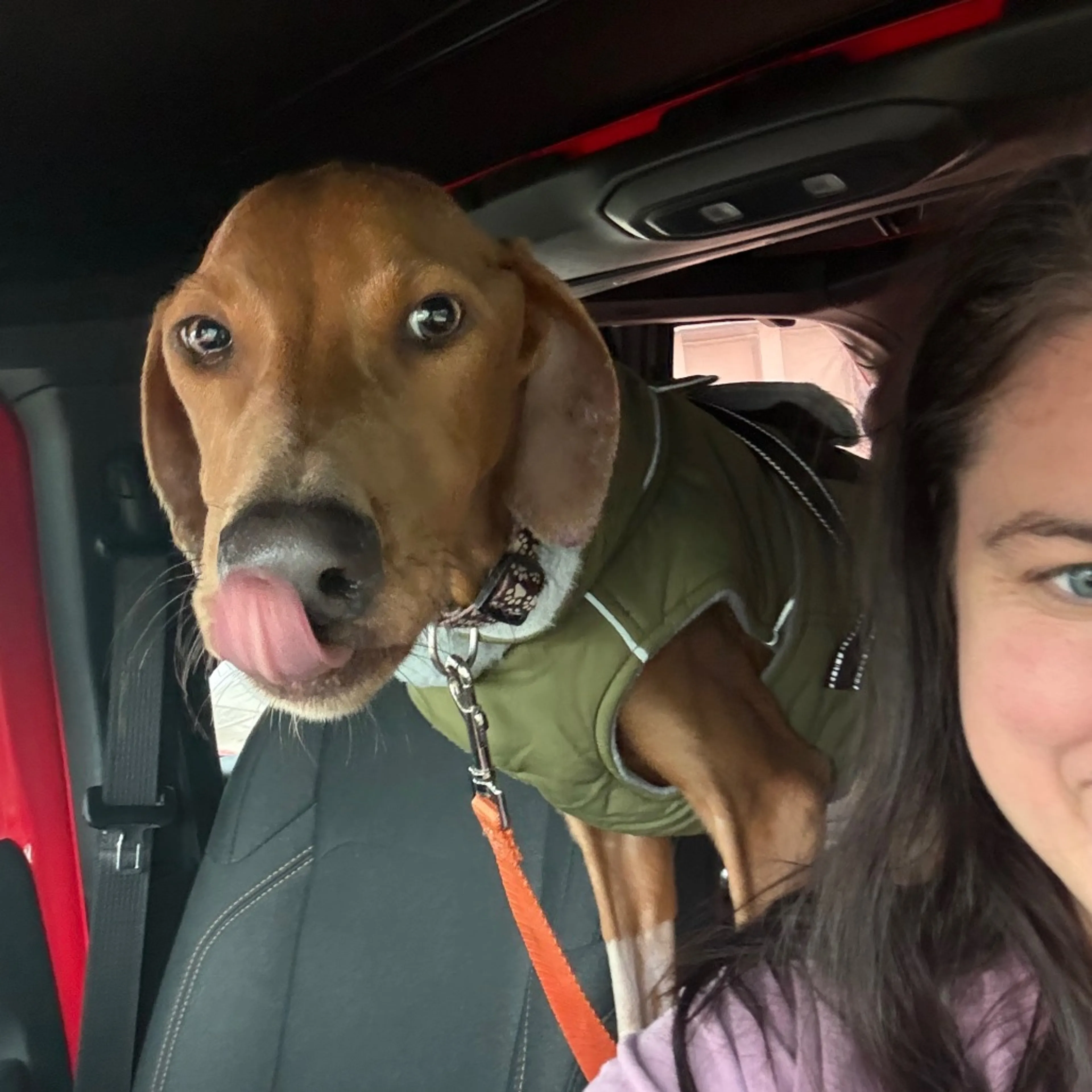 Found pet-1