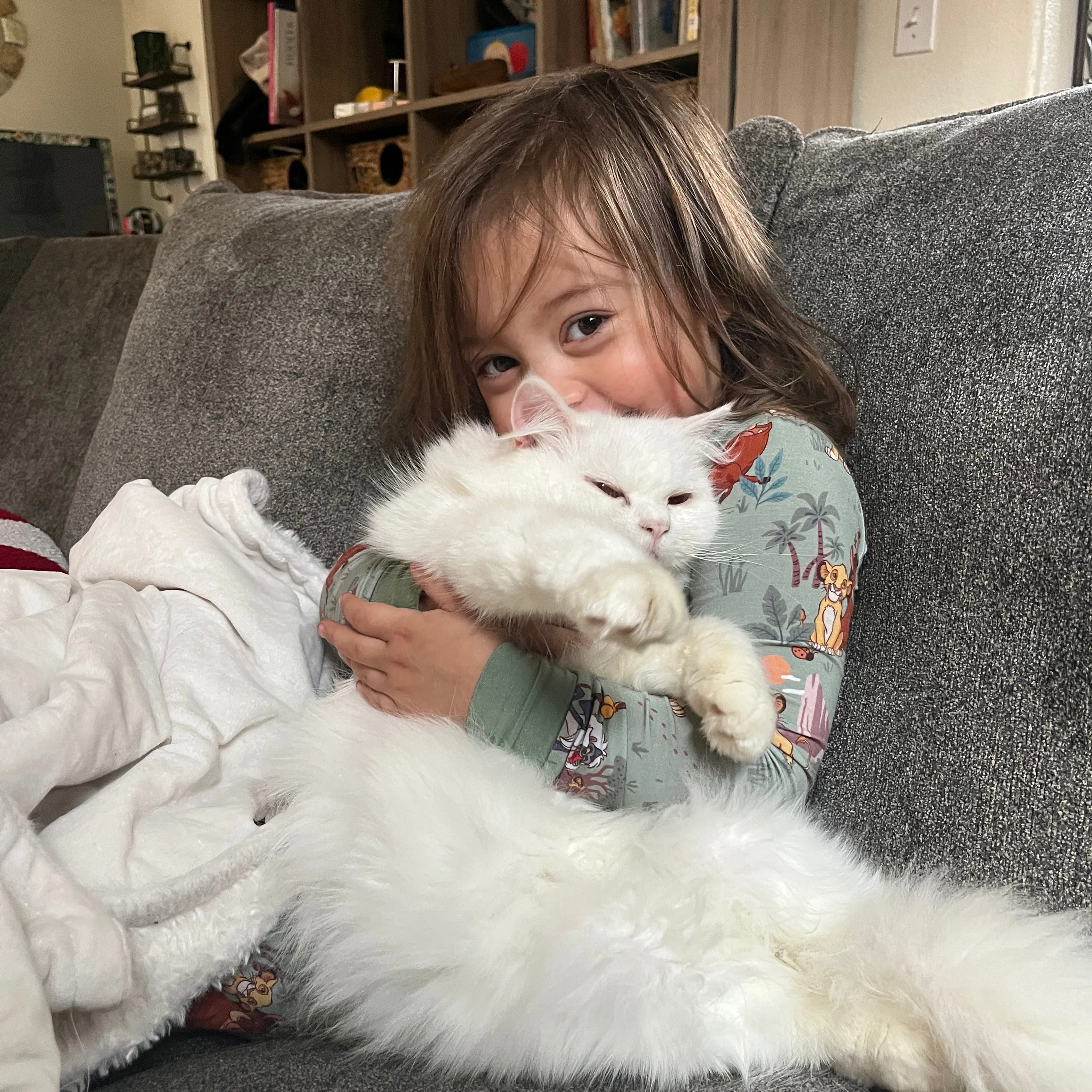 Lost pet-2