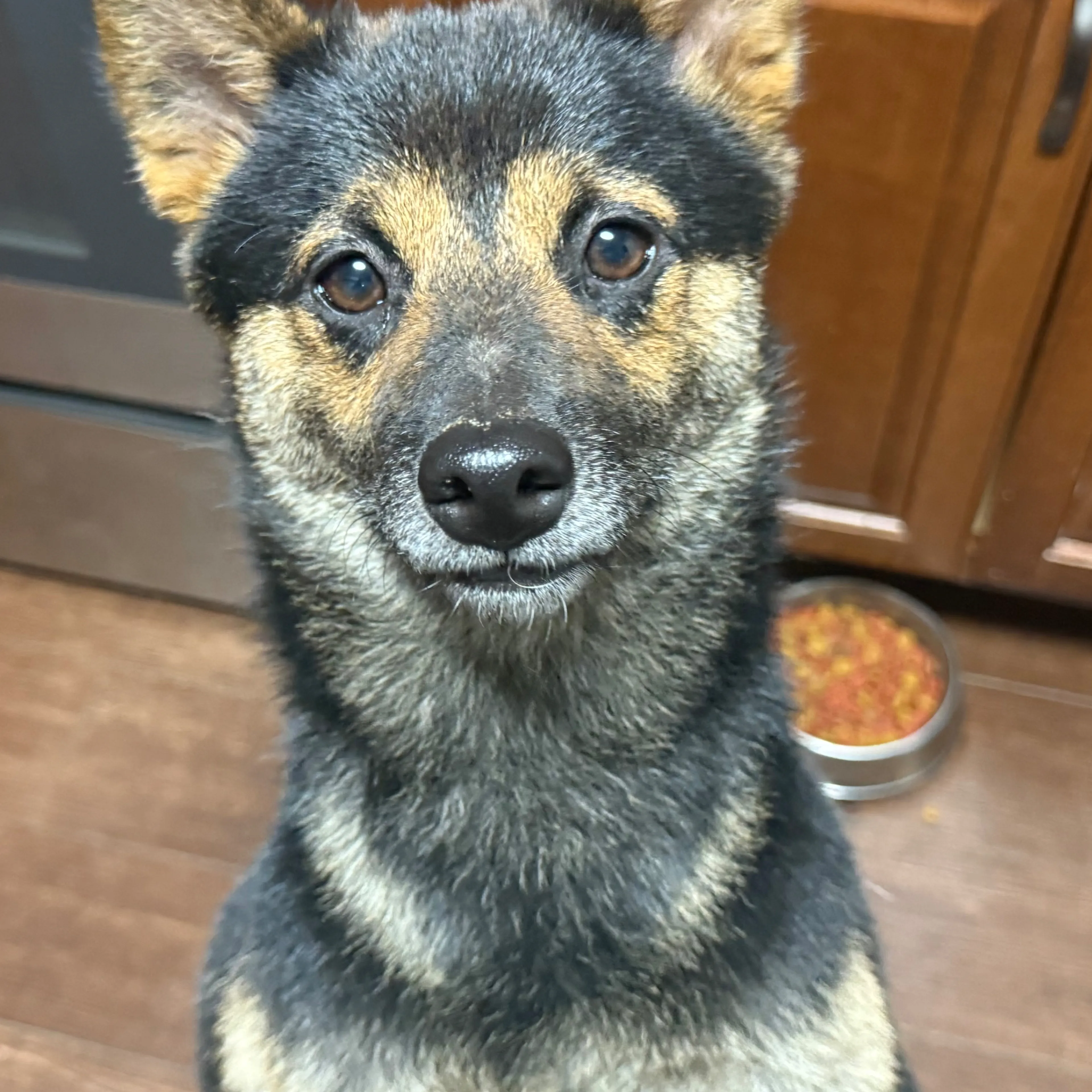 cdn image