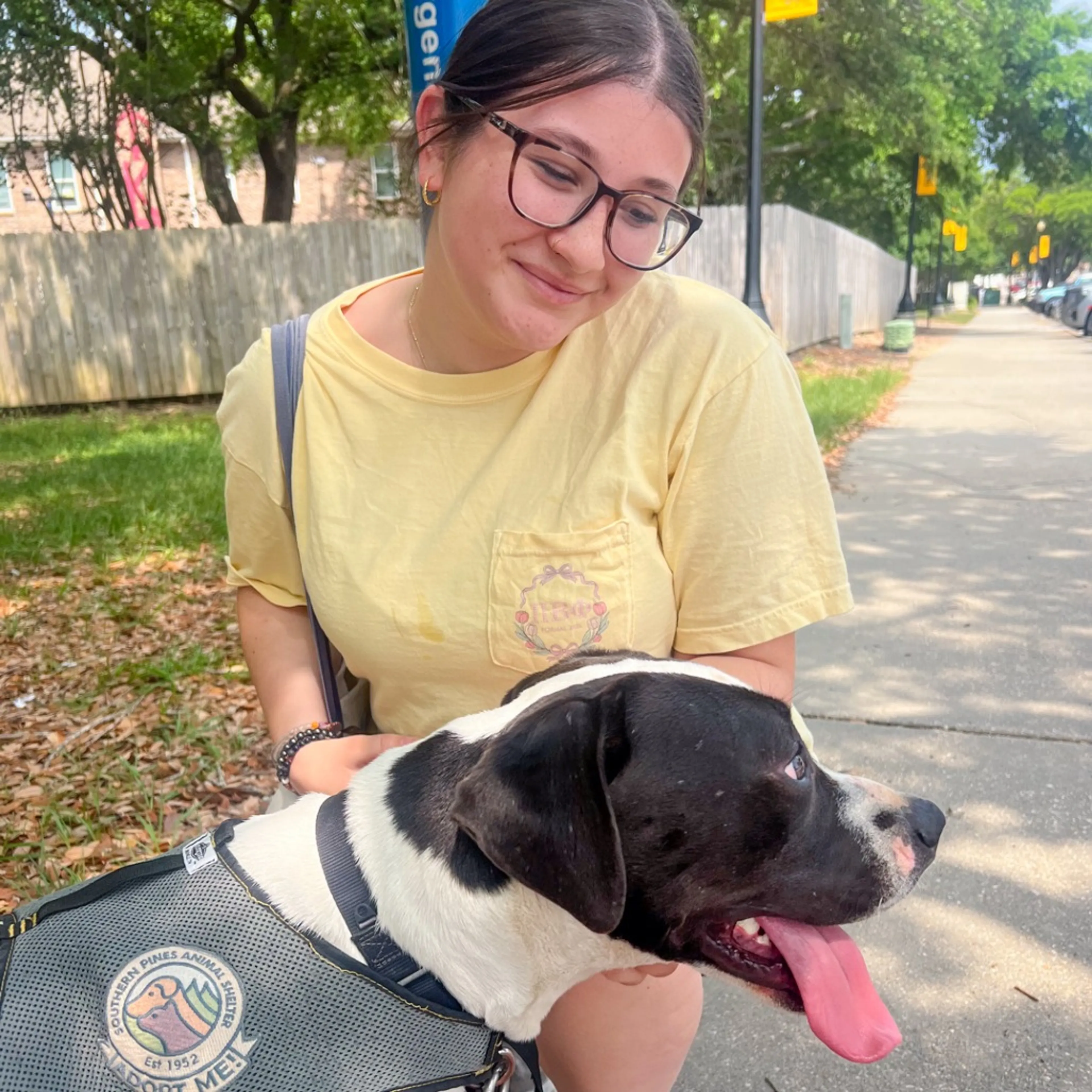 Found pet-11