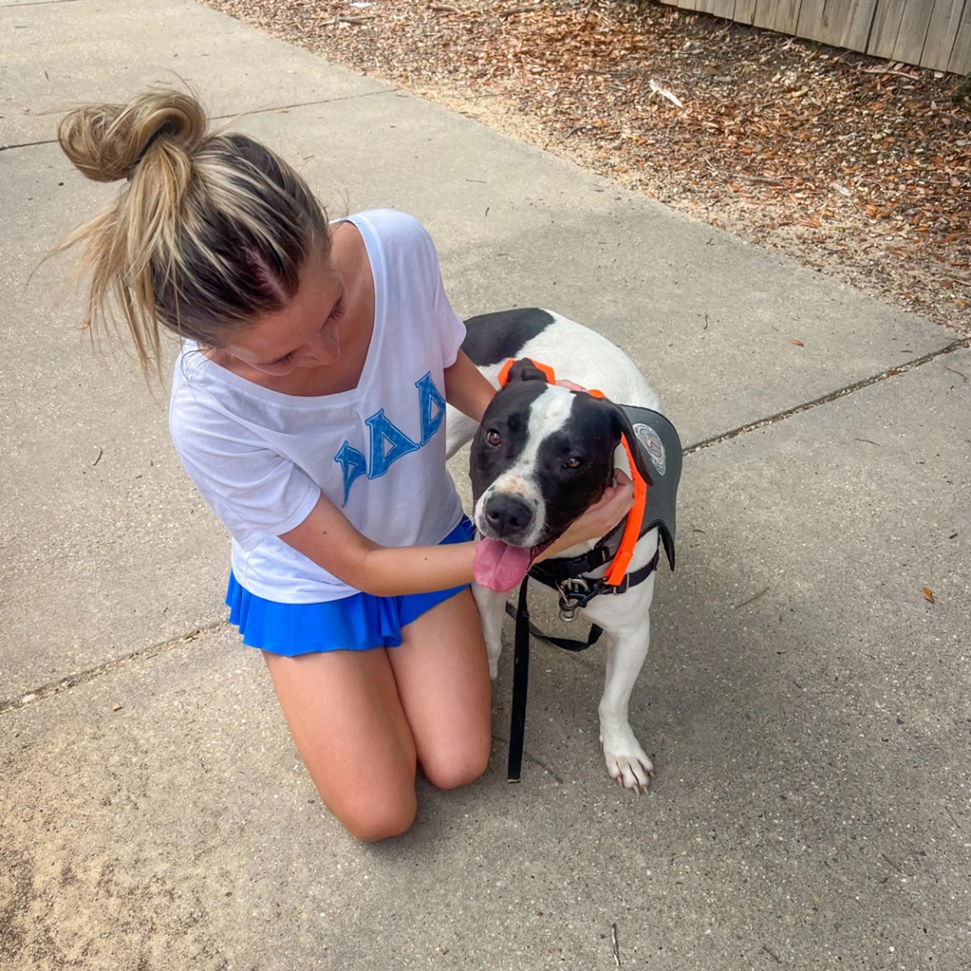 Found pet-9