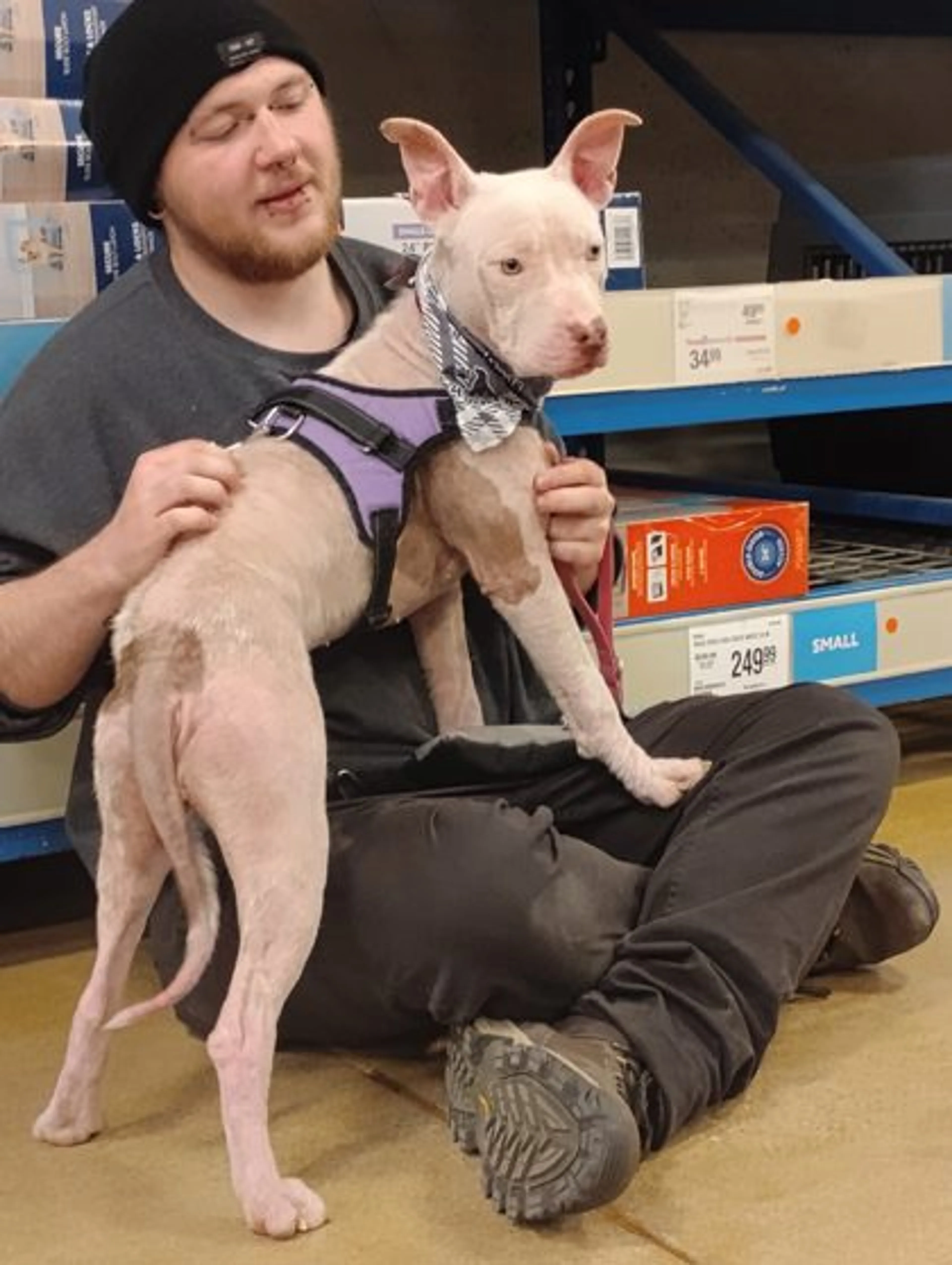 Found pet-1