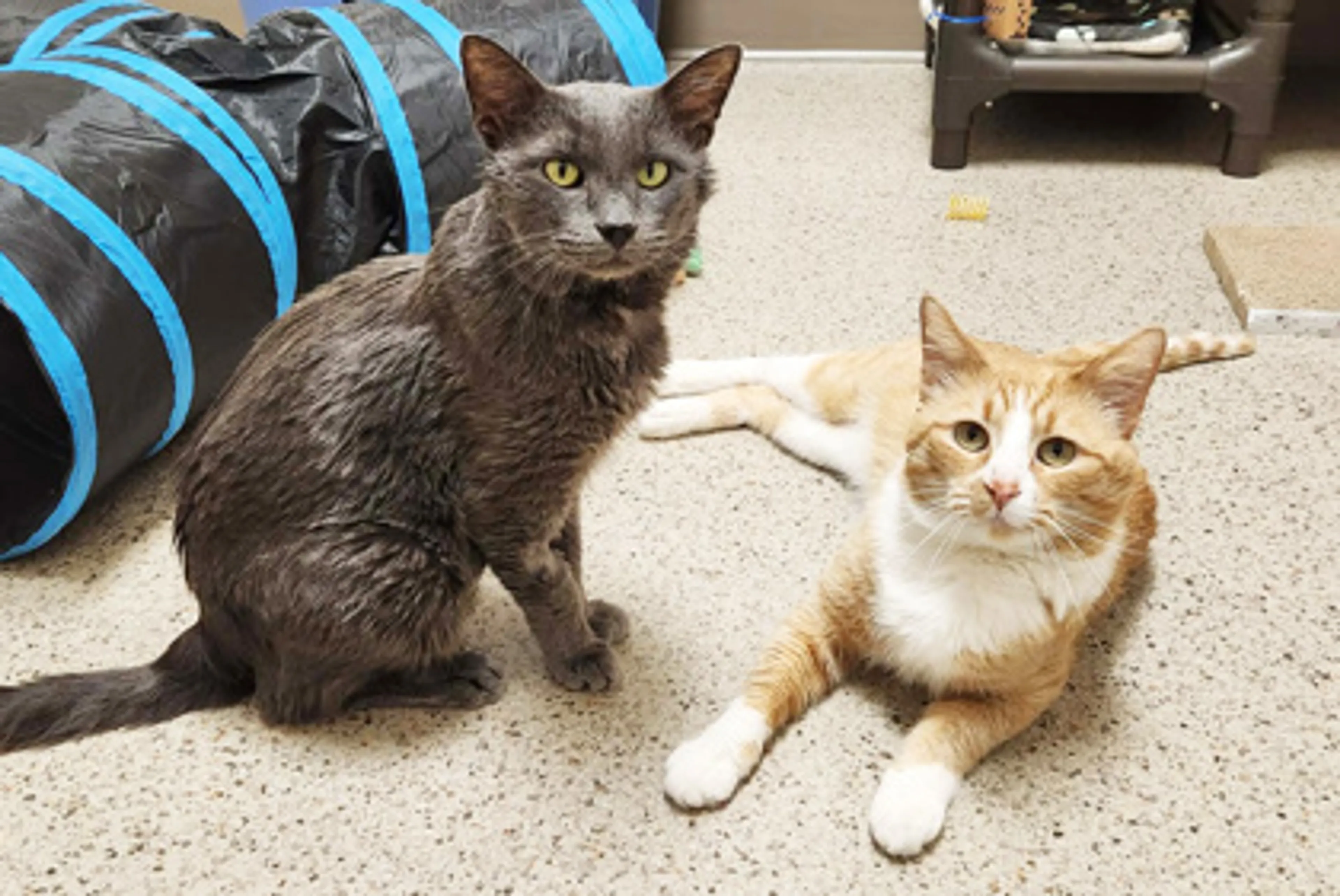 -2