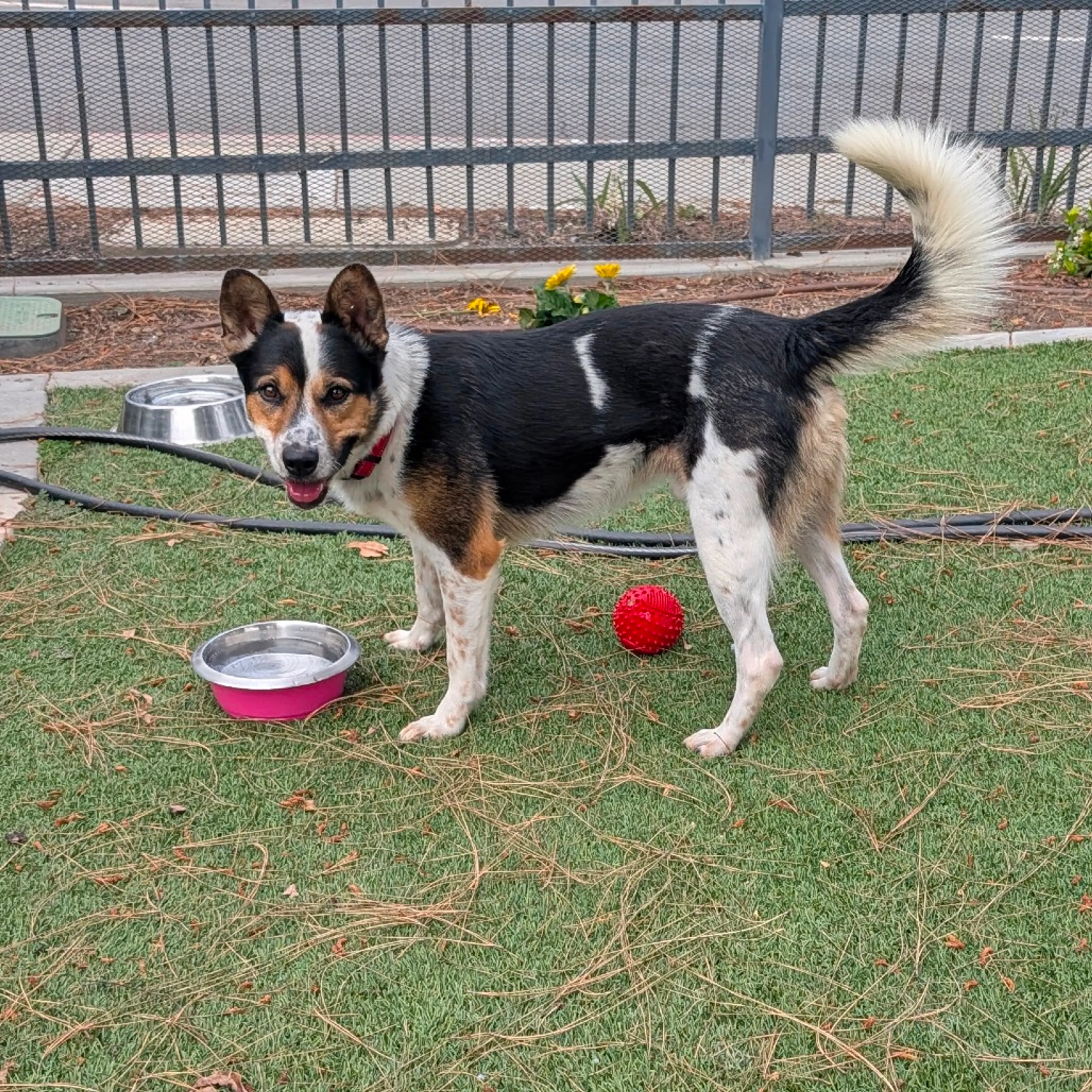 -18