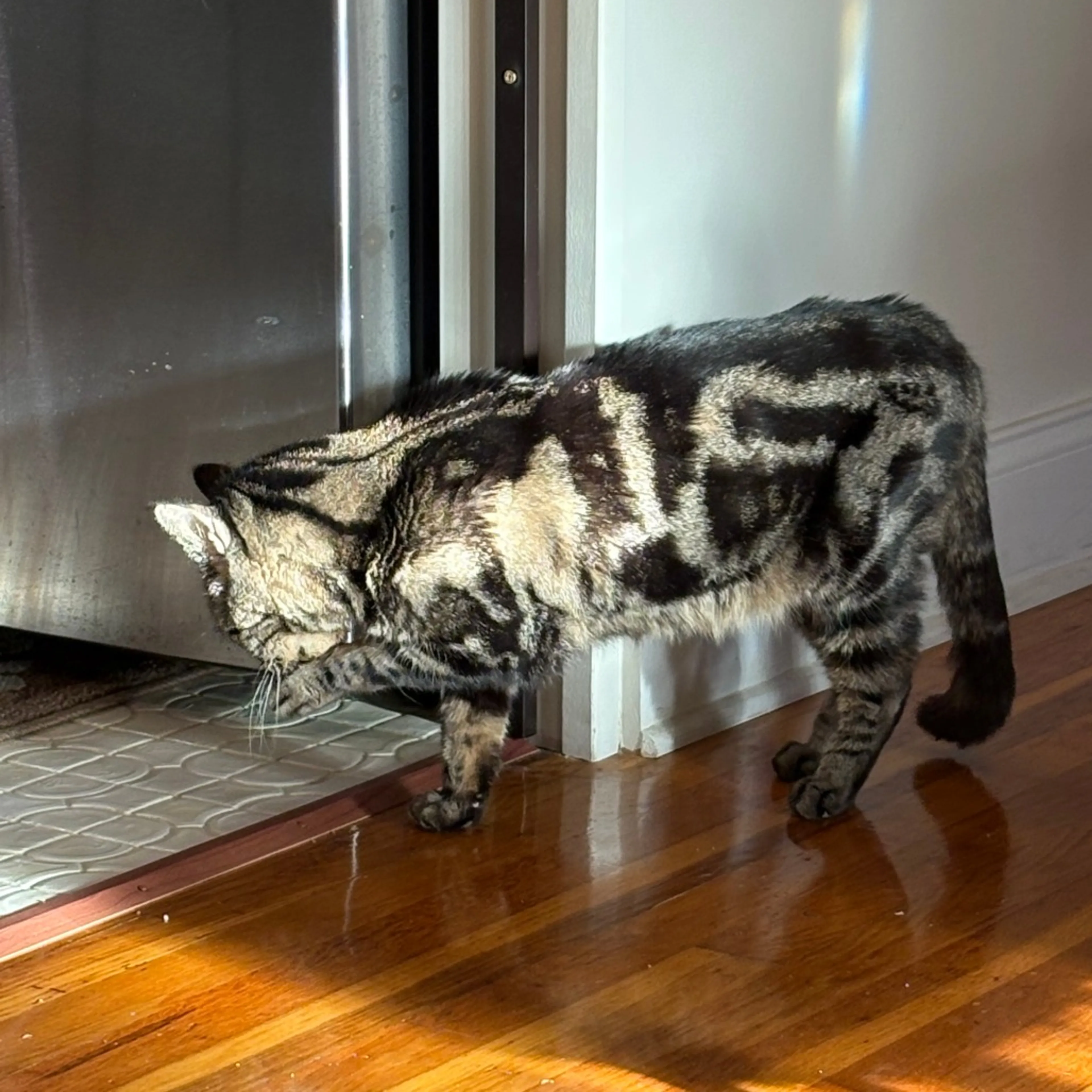 -11