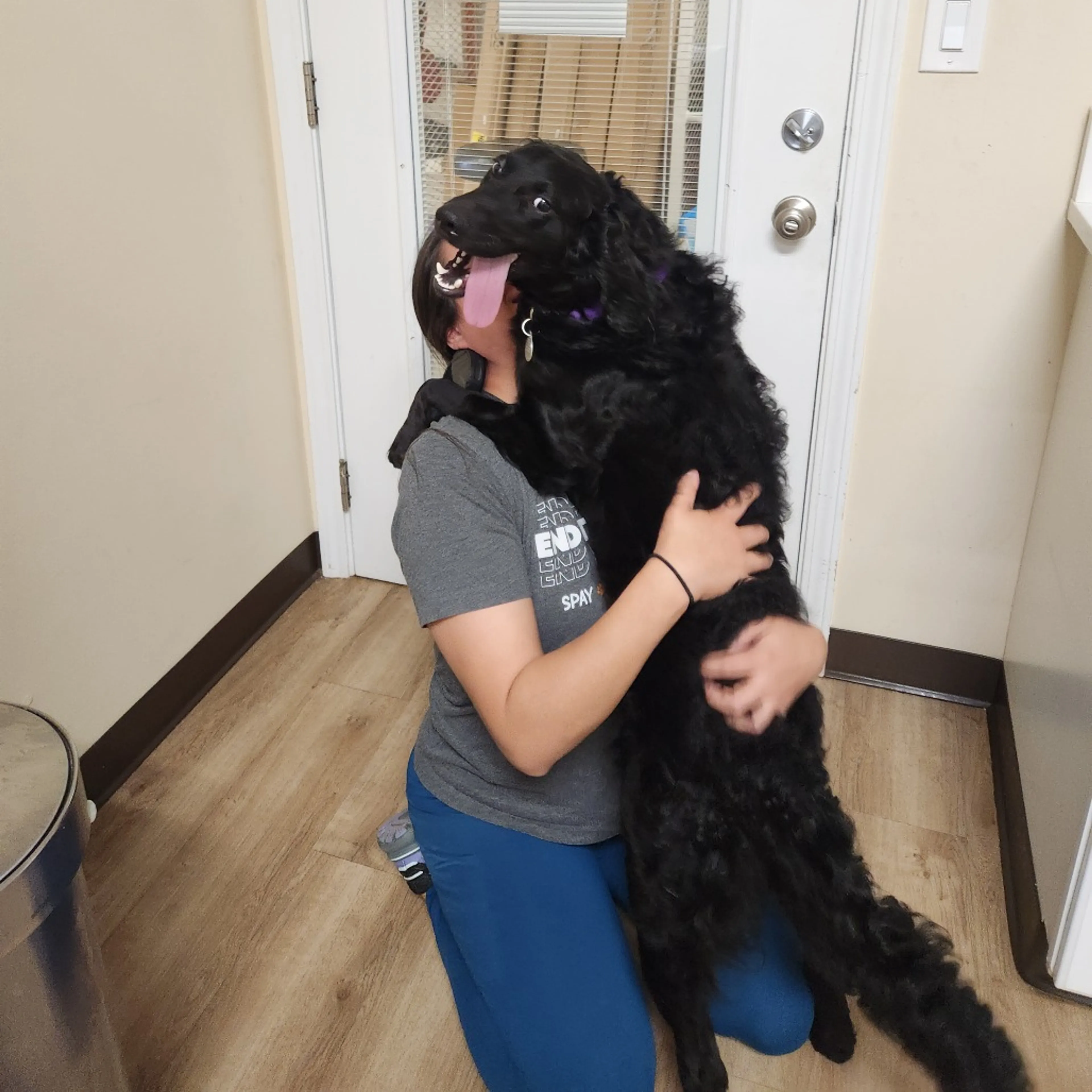 Found pet-8