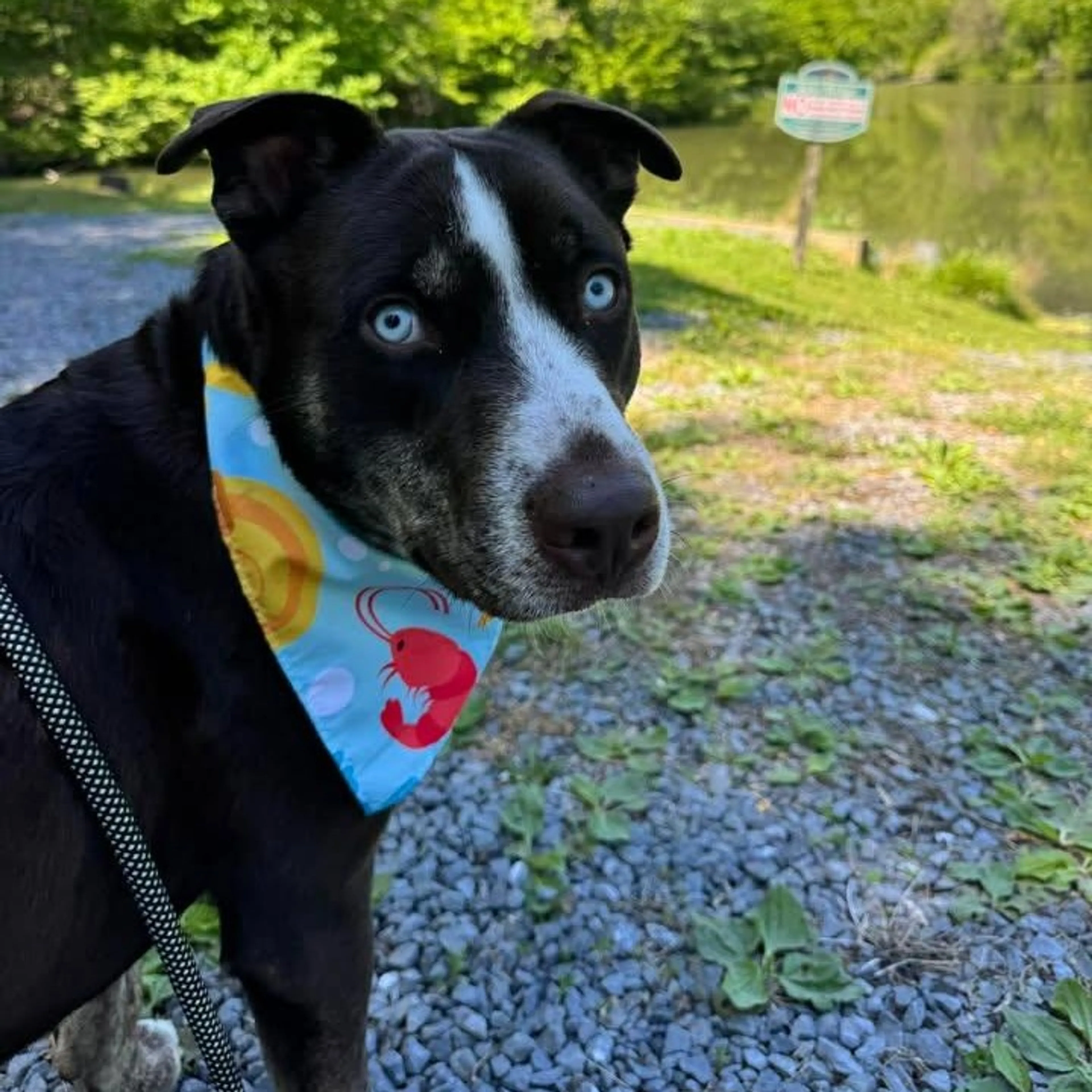 -0
