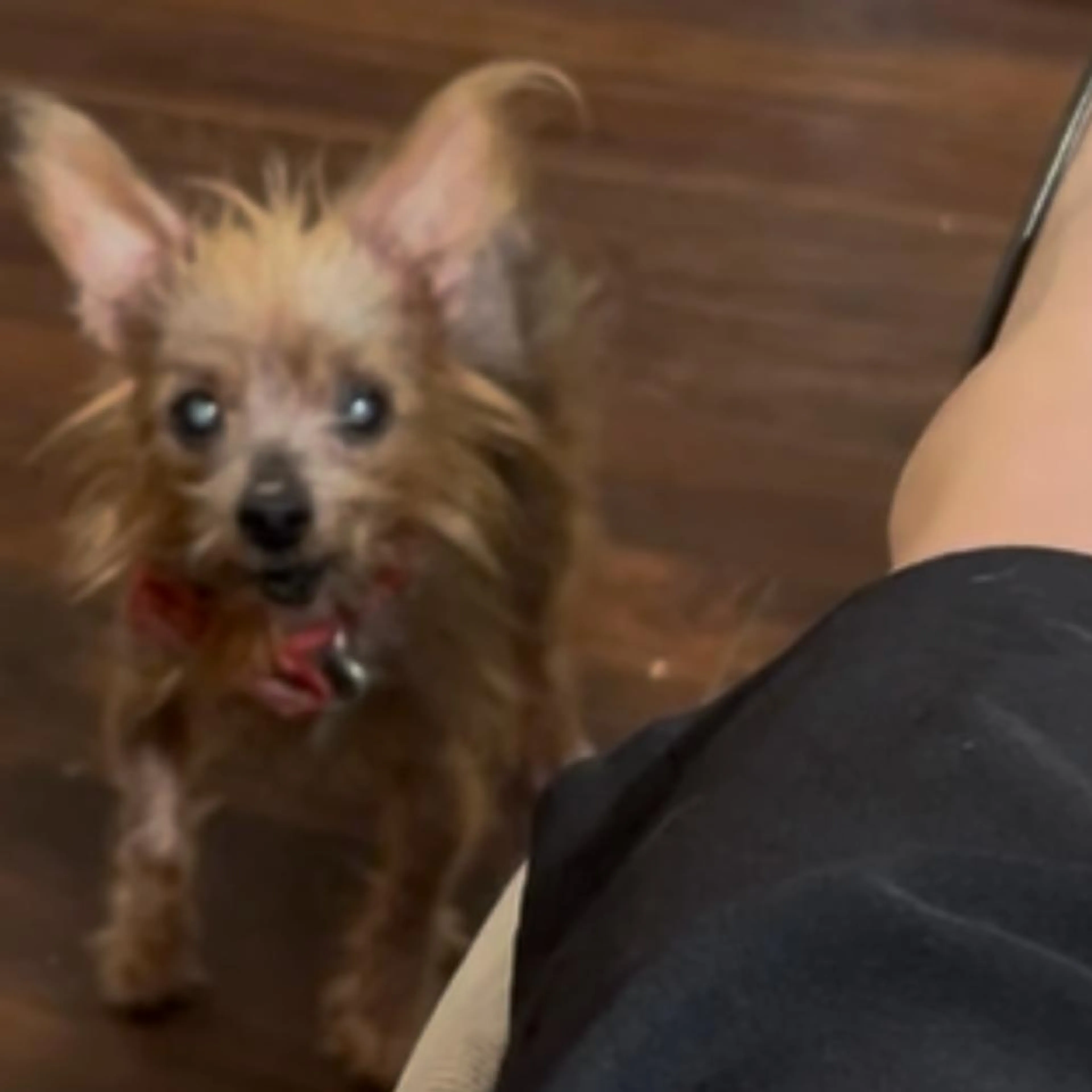 -4
