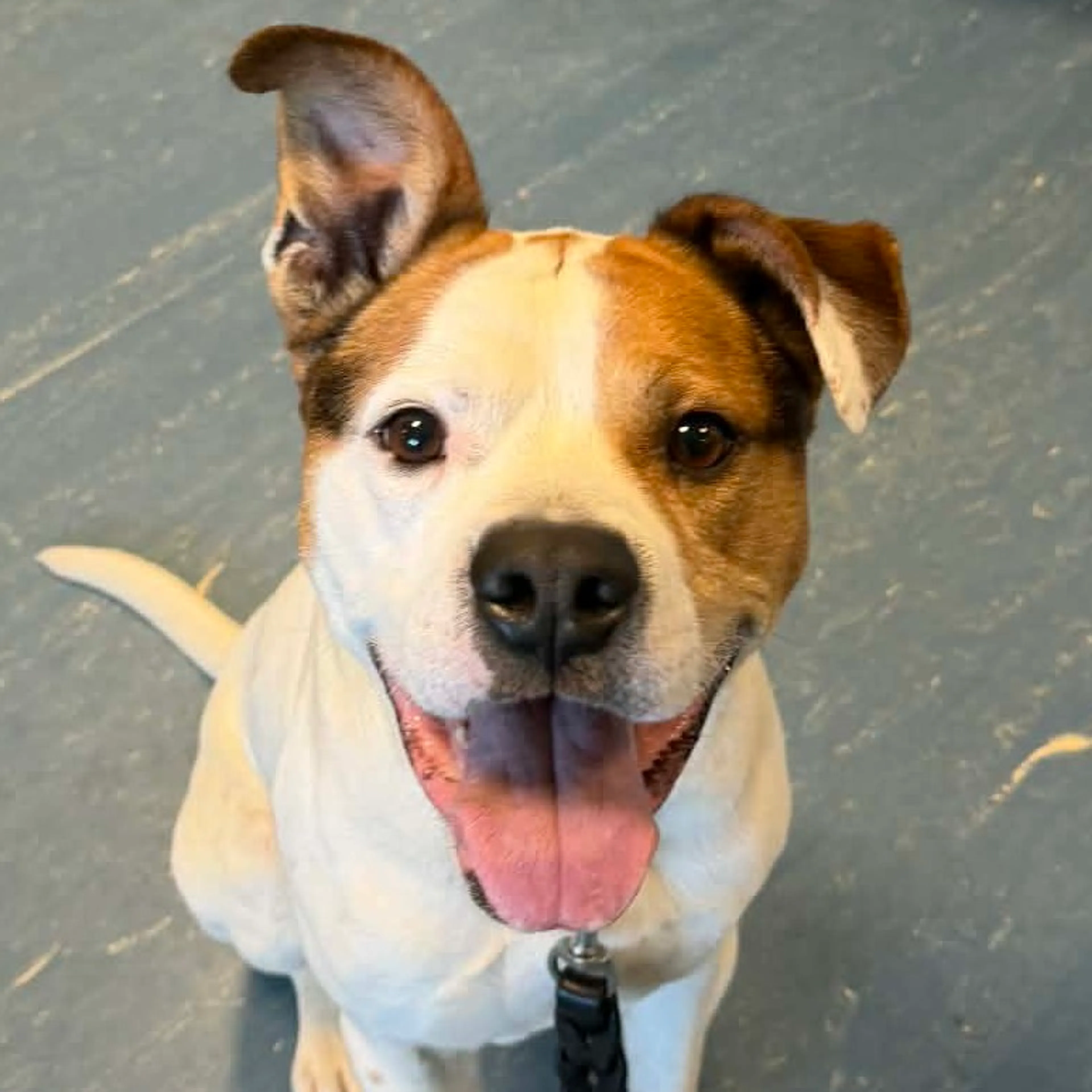 -5