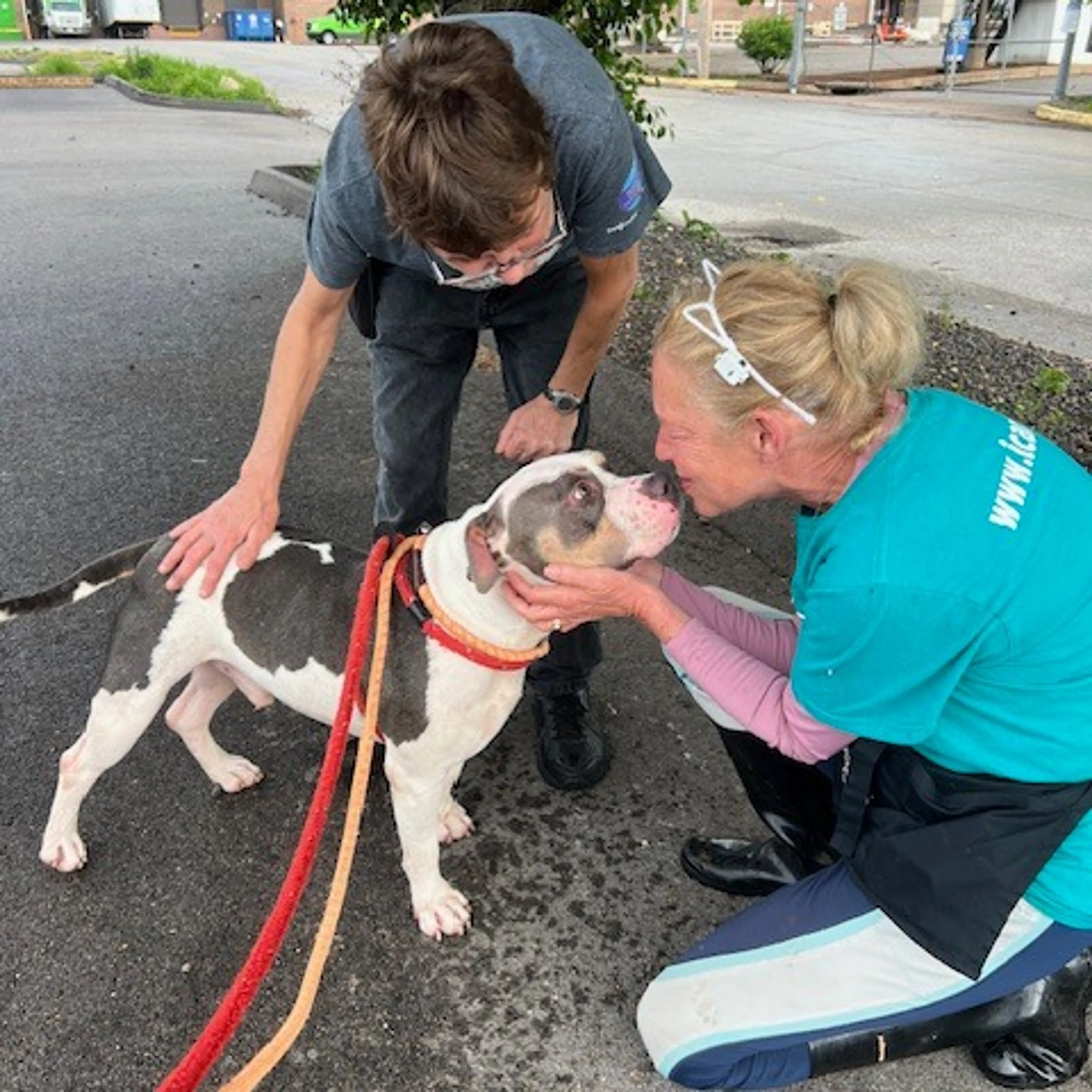 Found pet-12