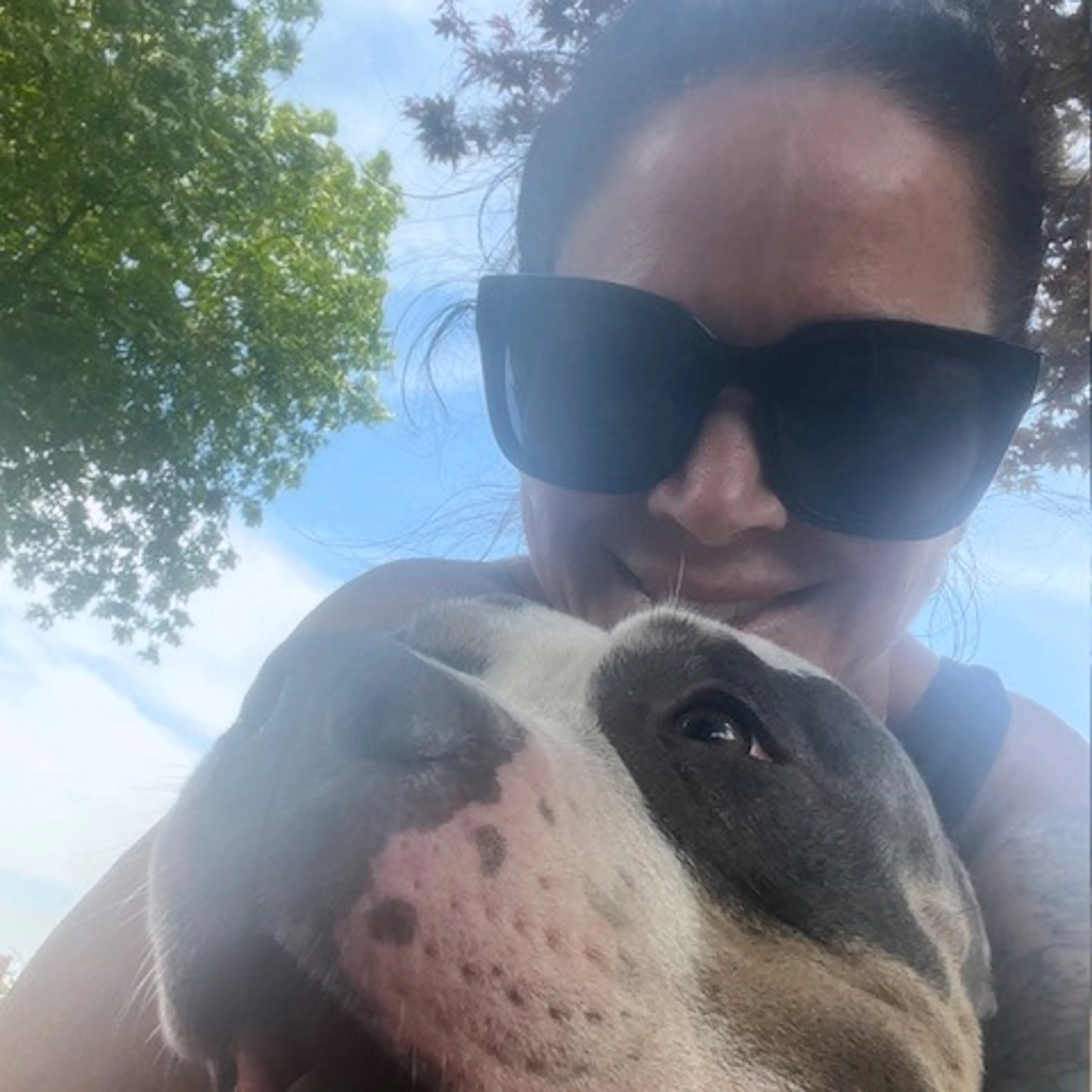 Found pet-8