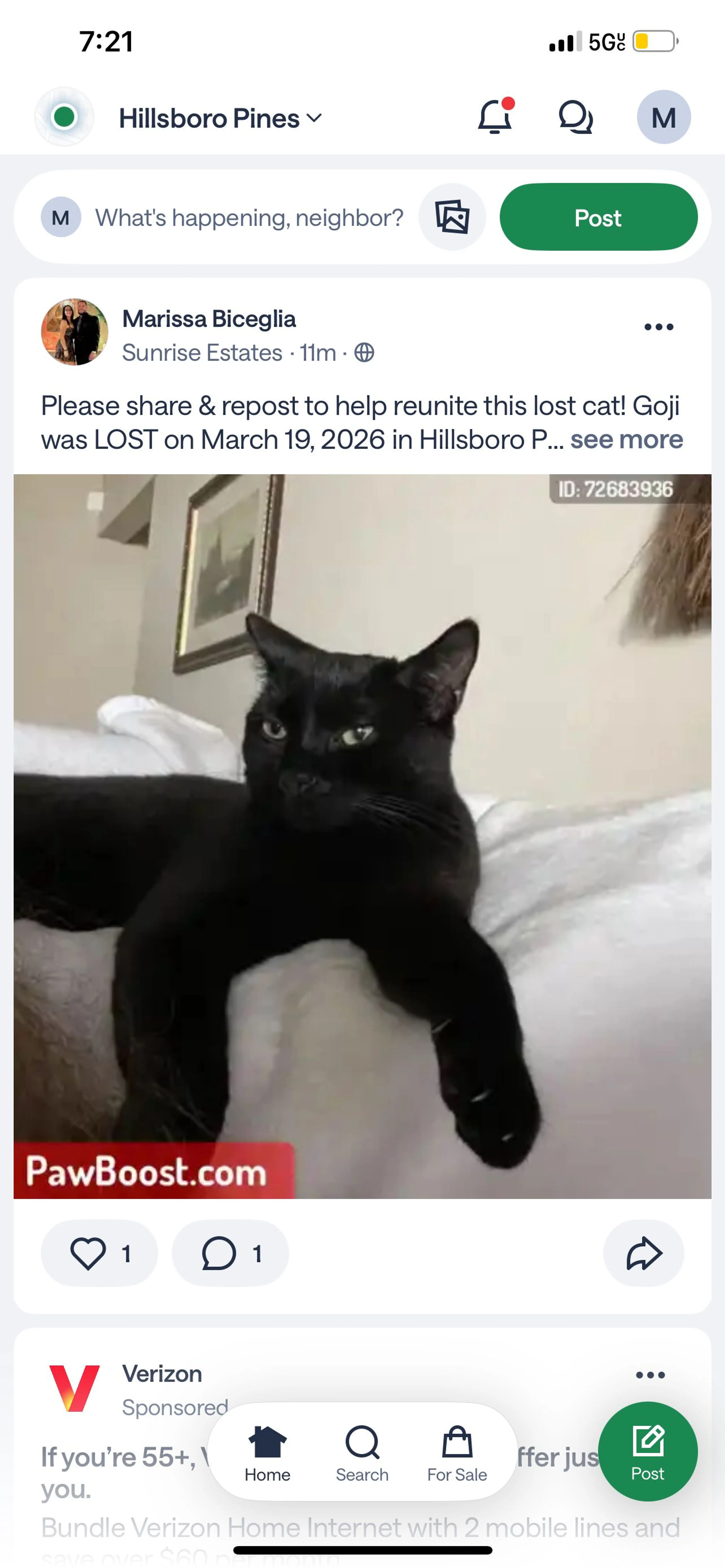 Lost pet-1