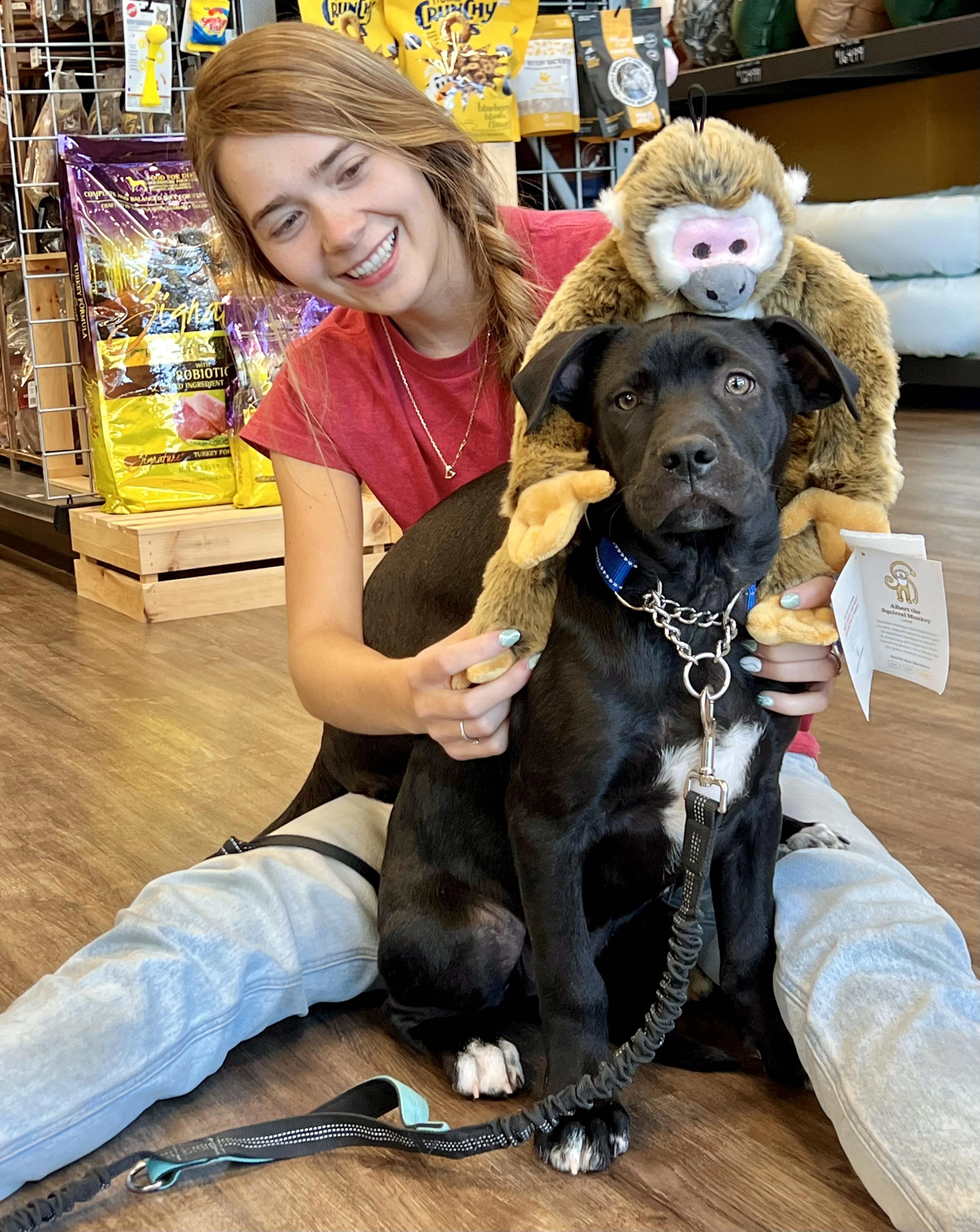 Found pet-4