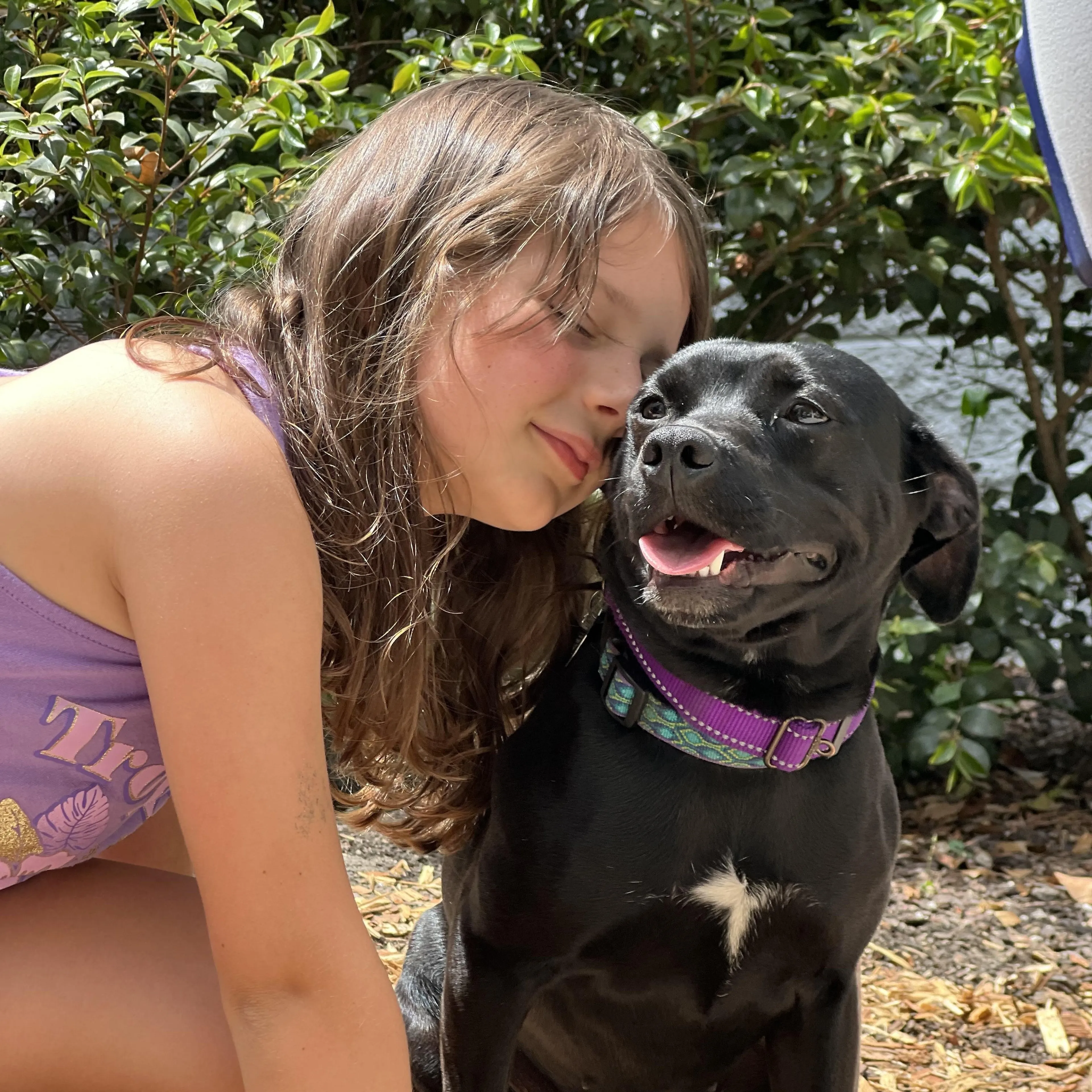 Found pet-5