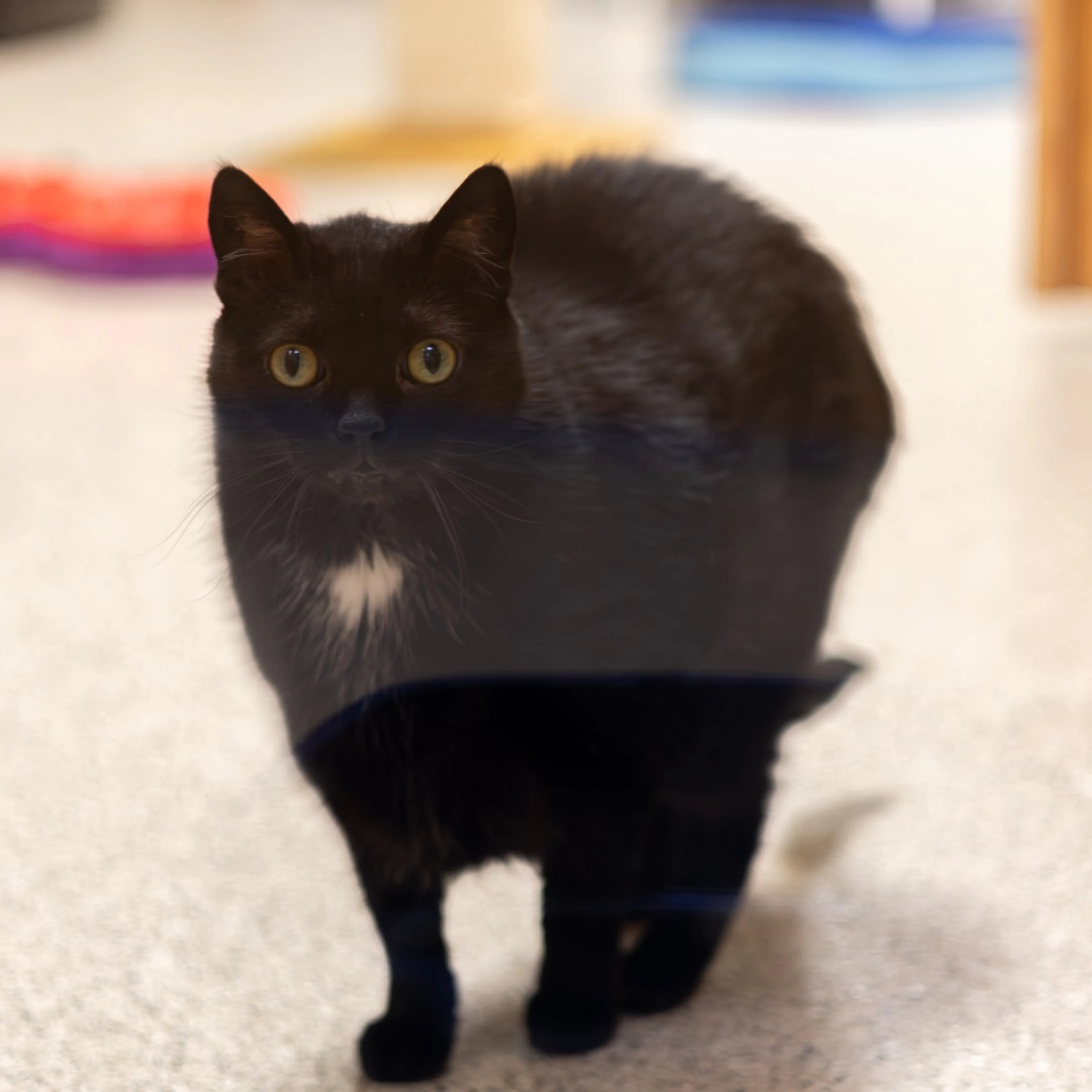 -13