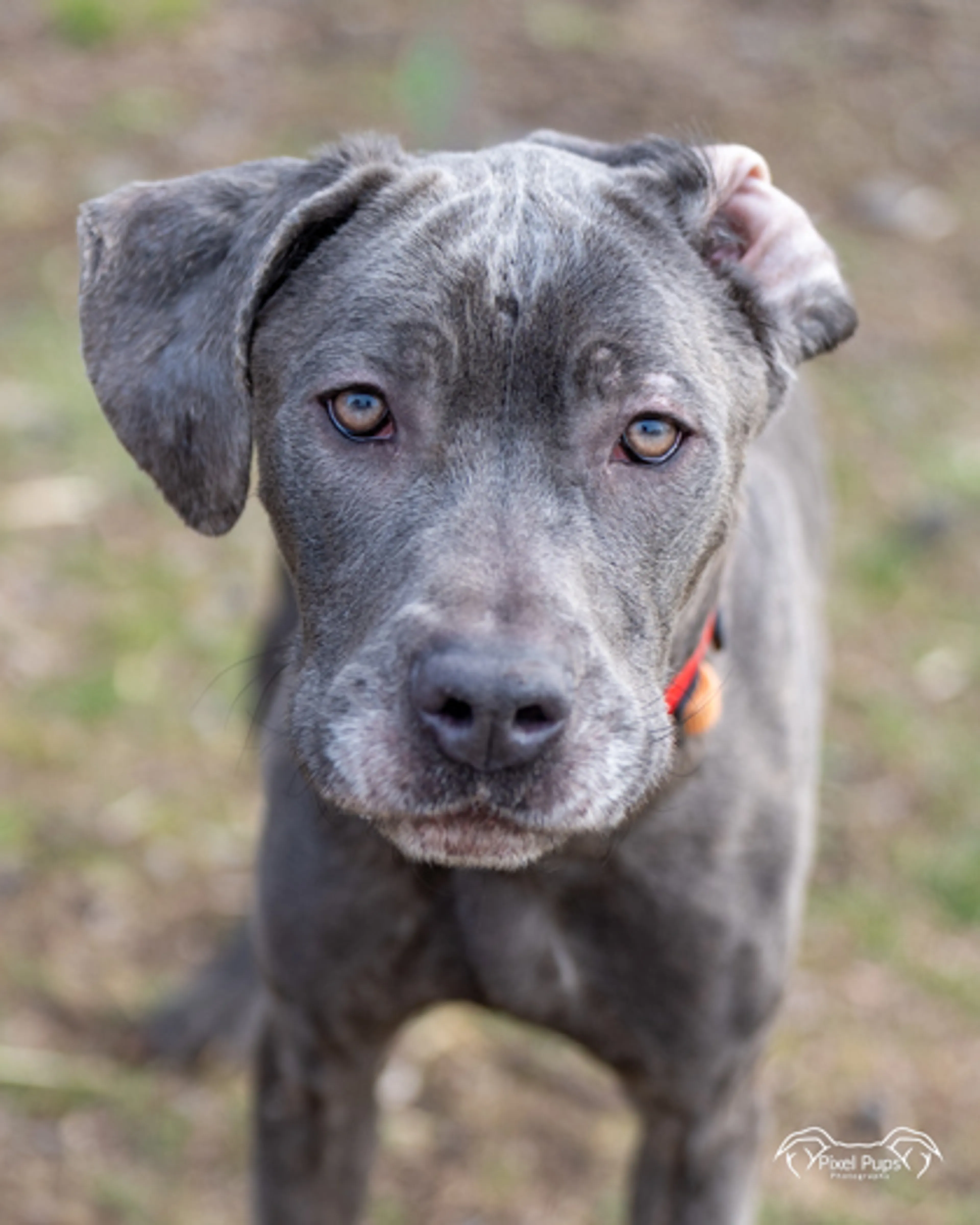 -2