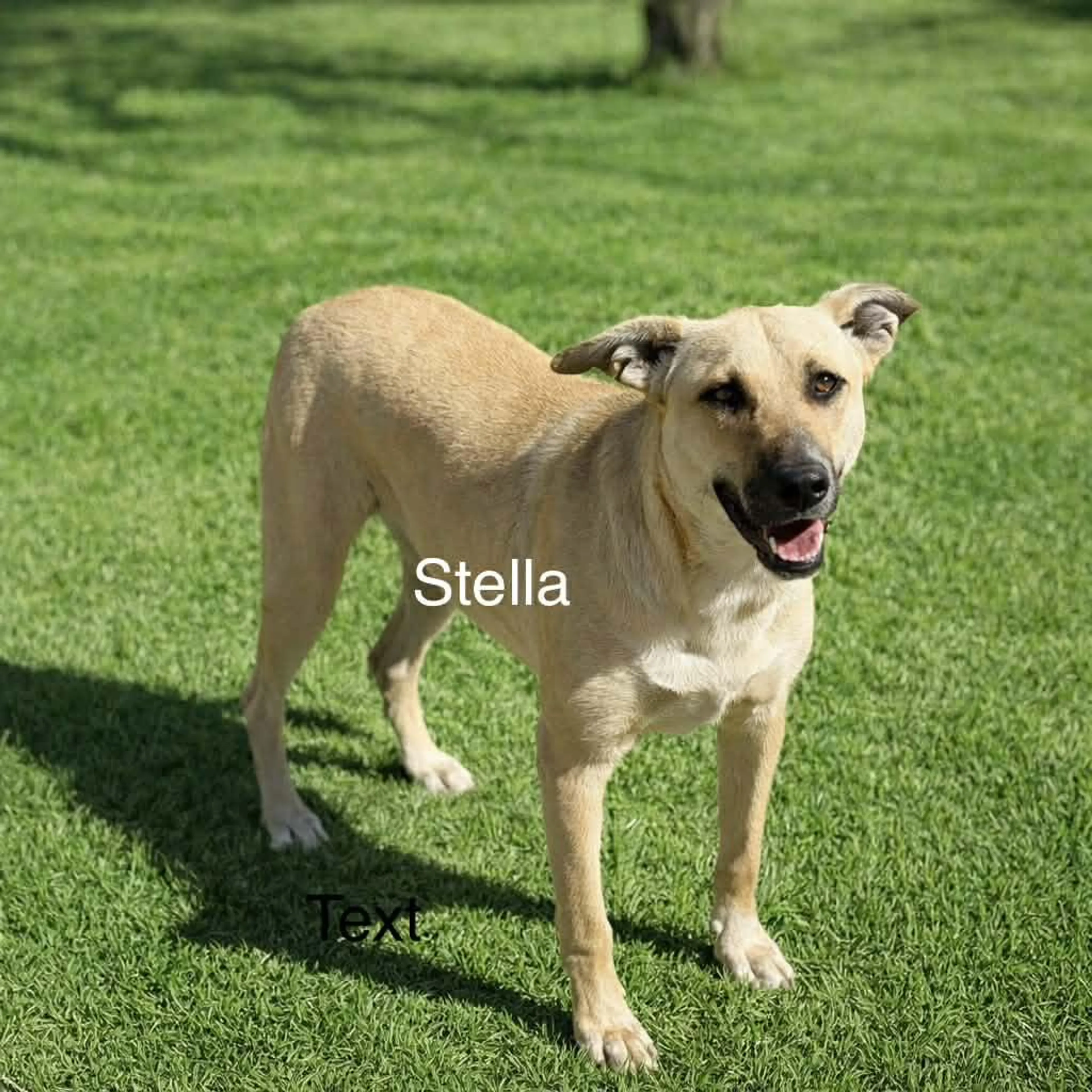 -0