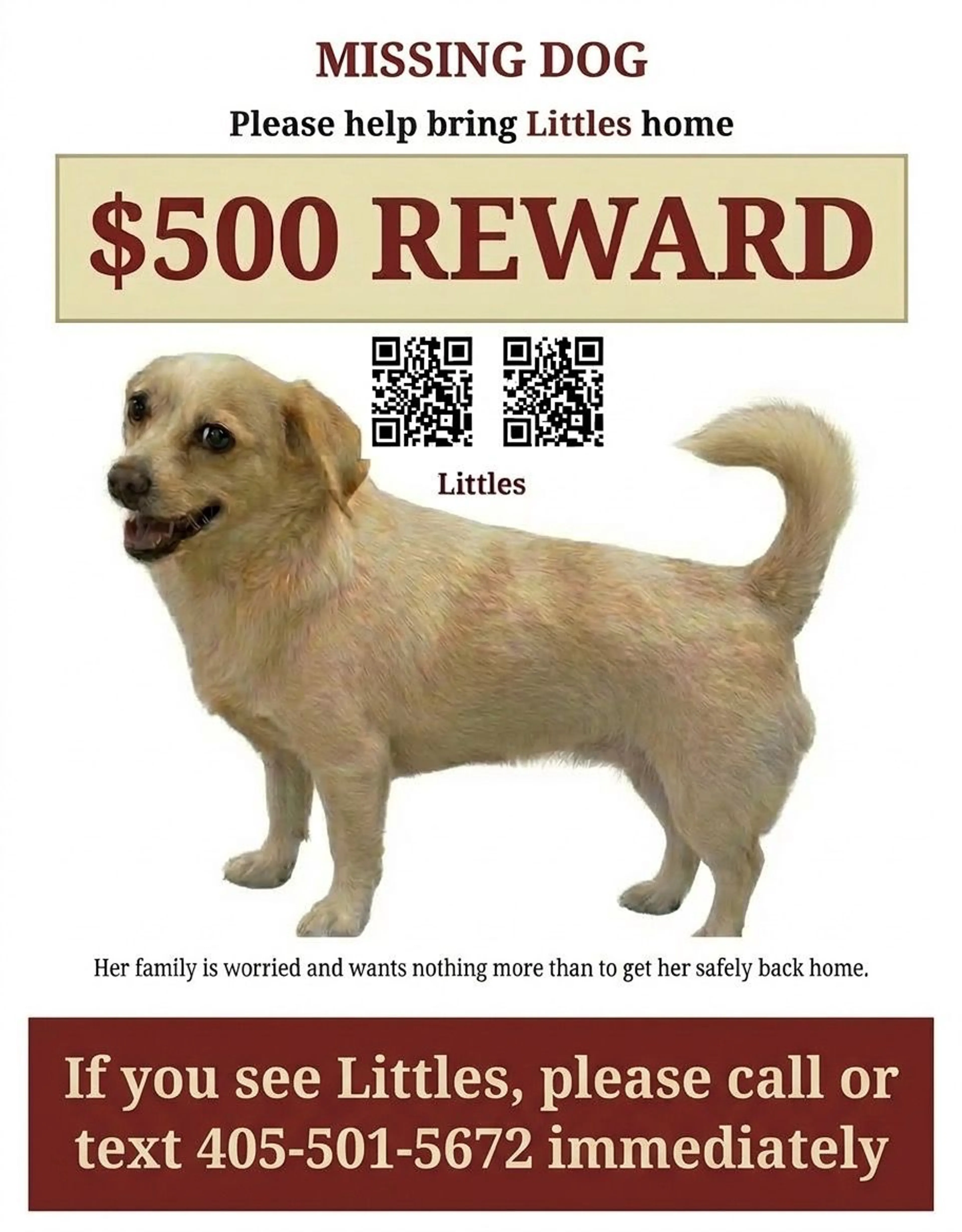 Lost pet