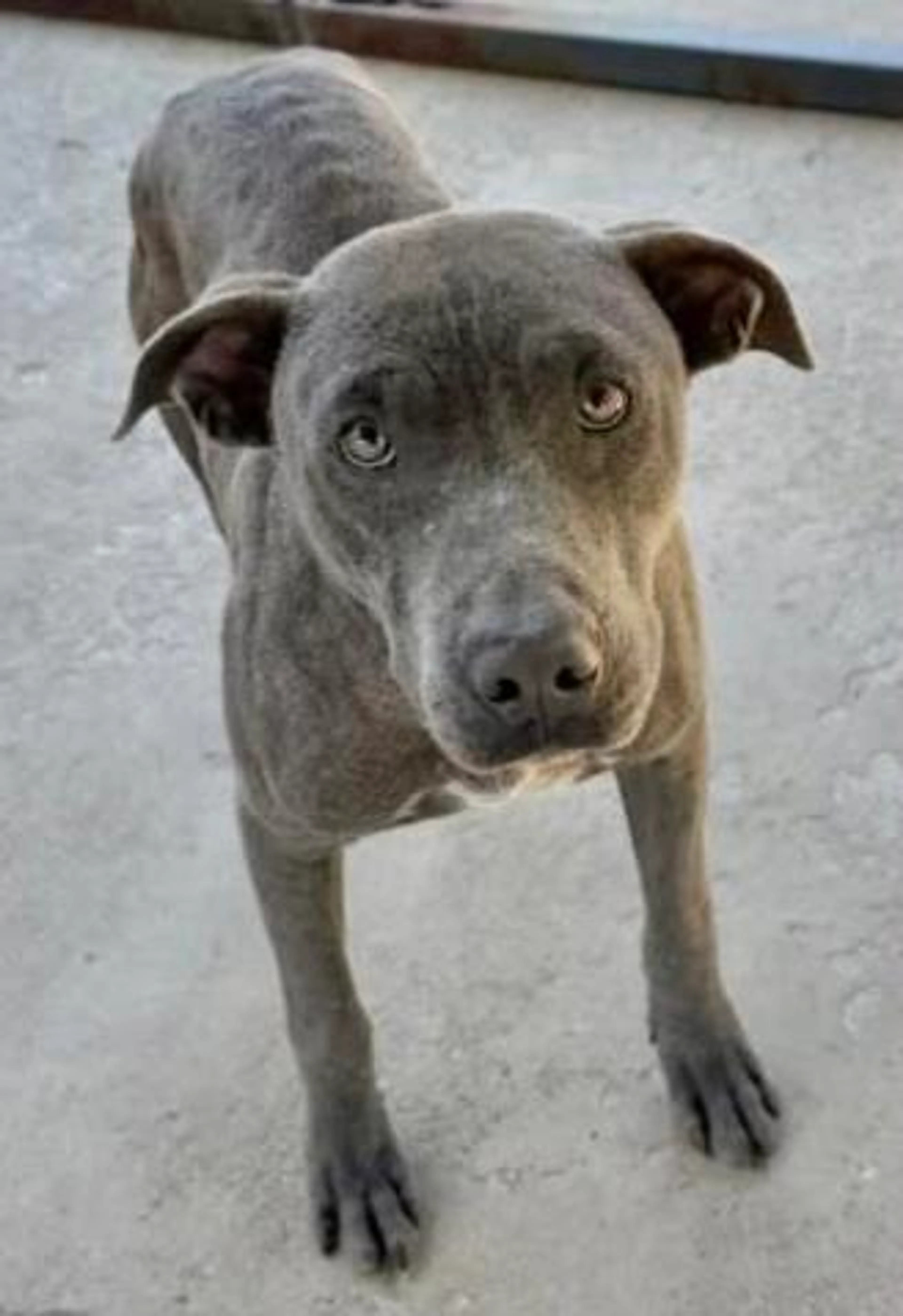 -0