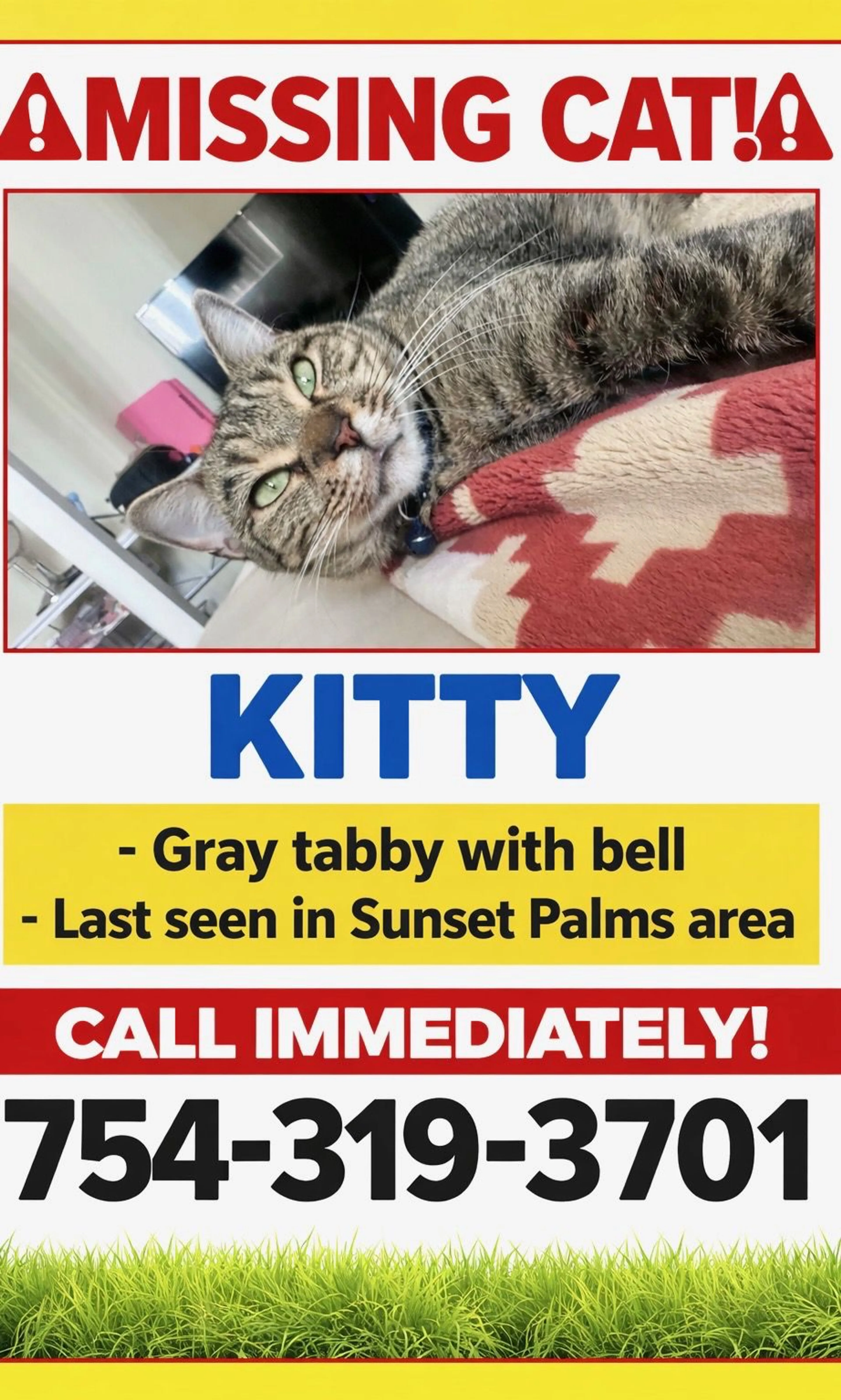 Lost pet