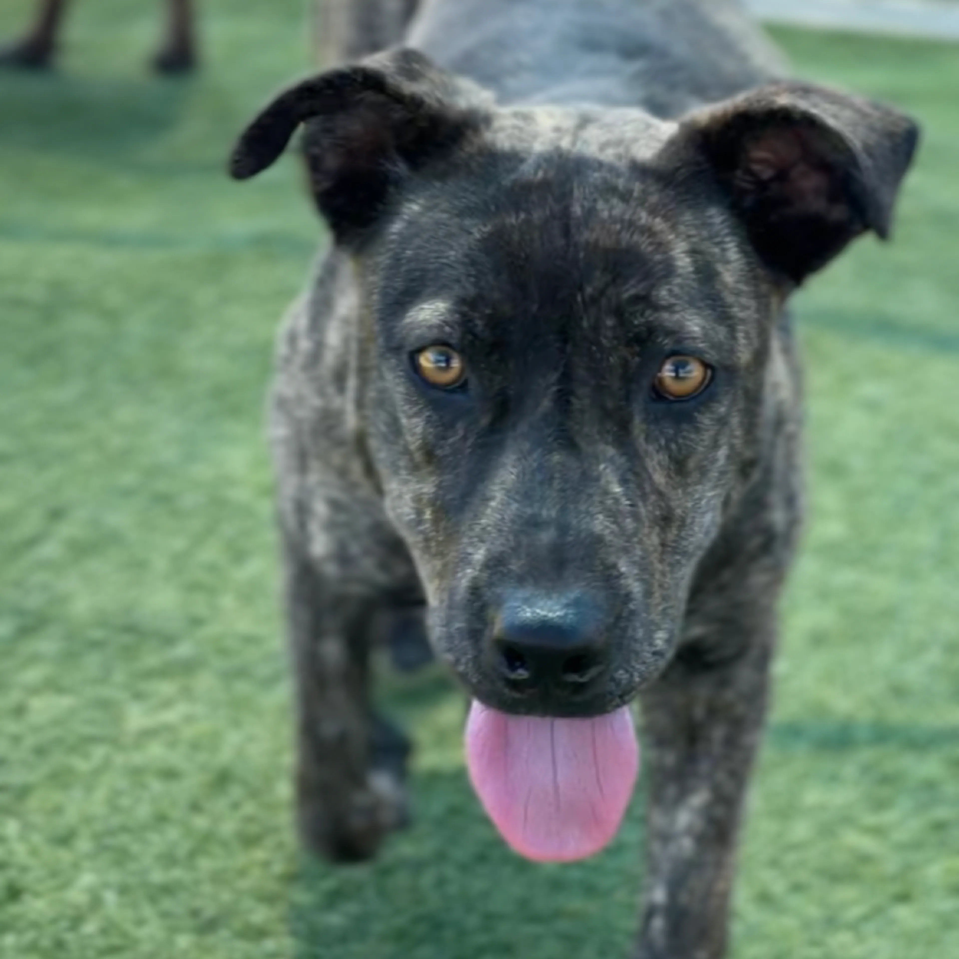 -9