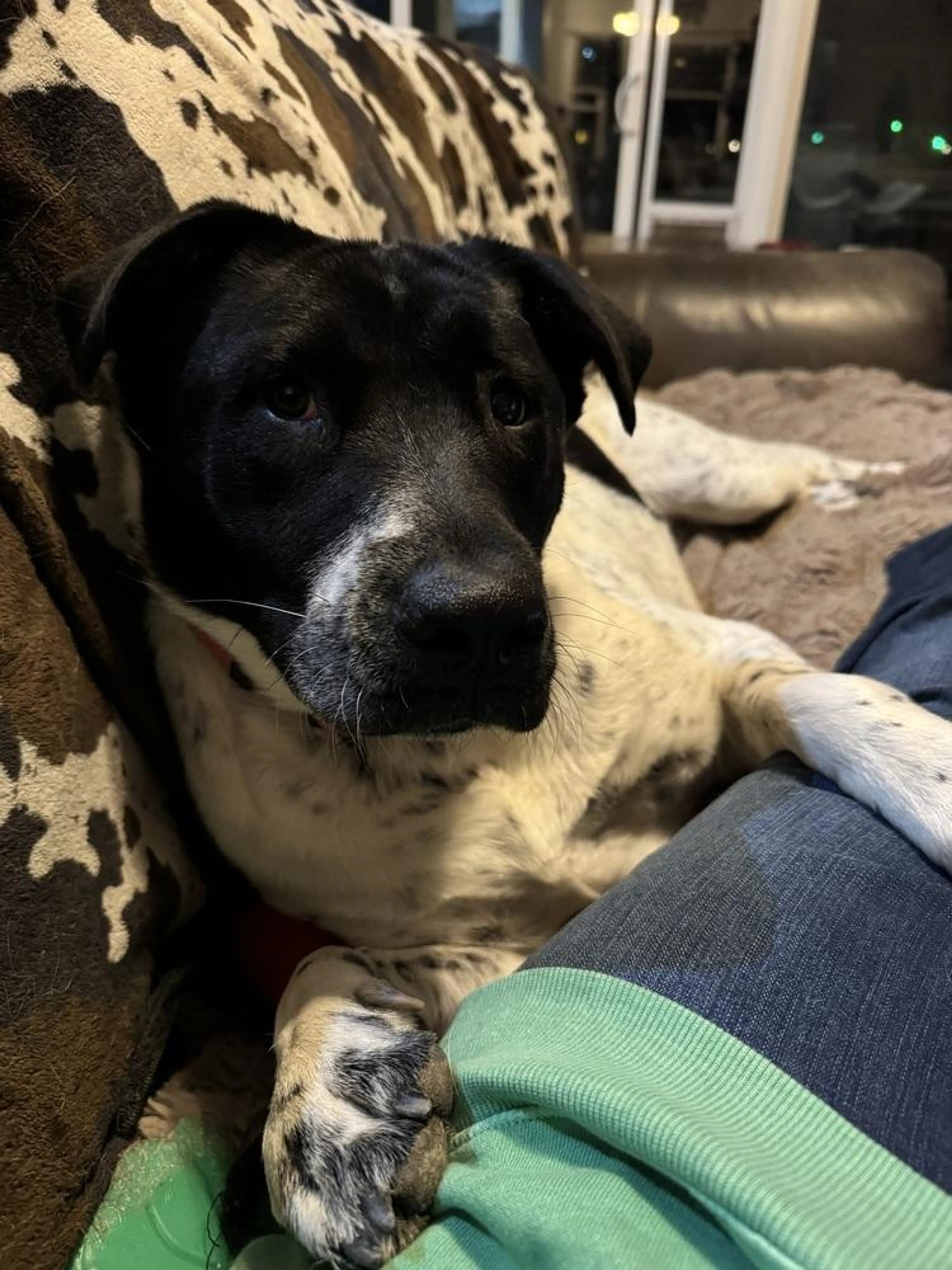 -4