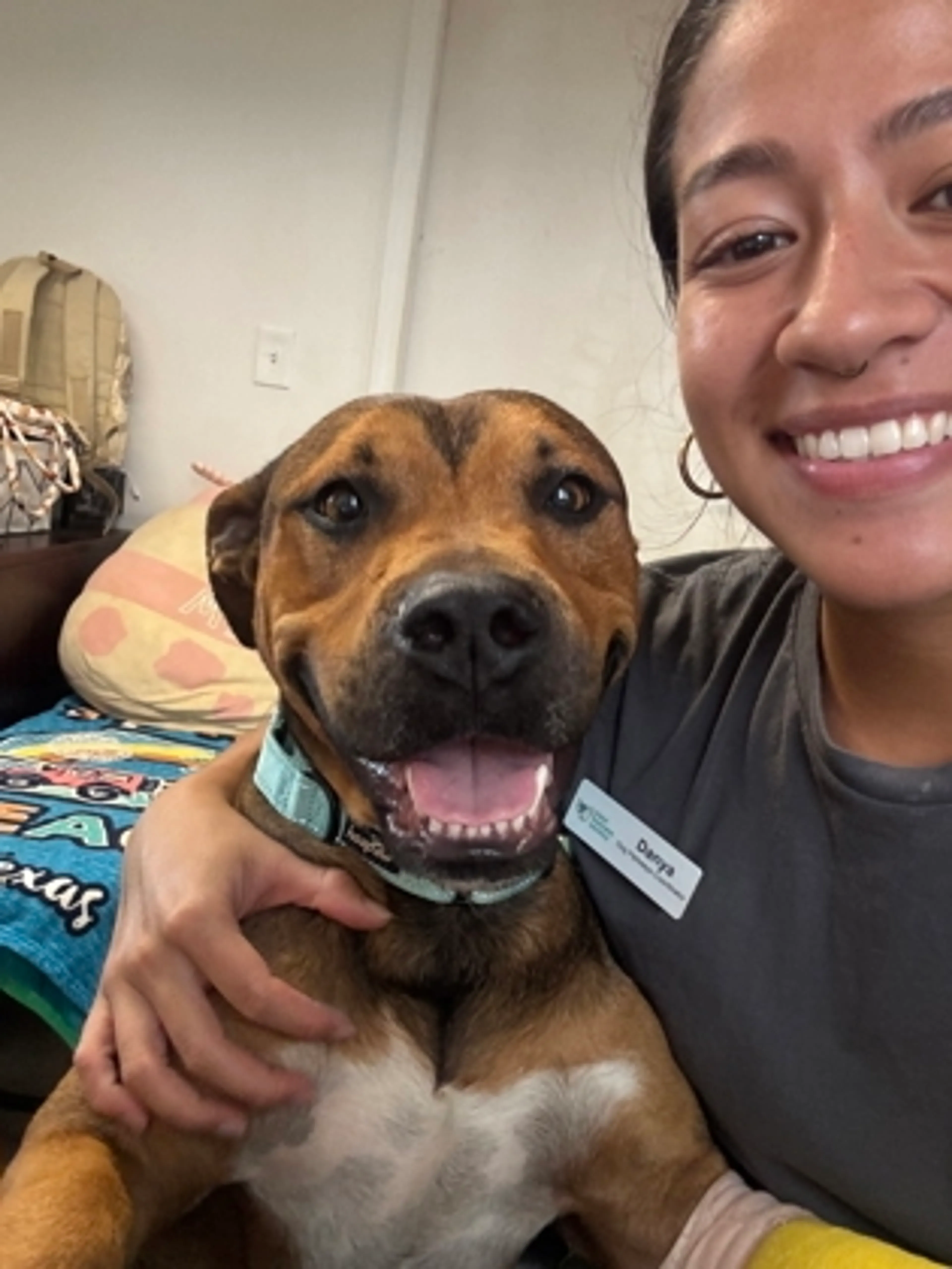 Found pet-1