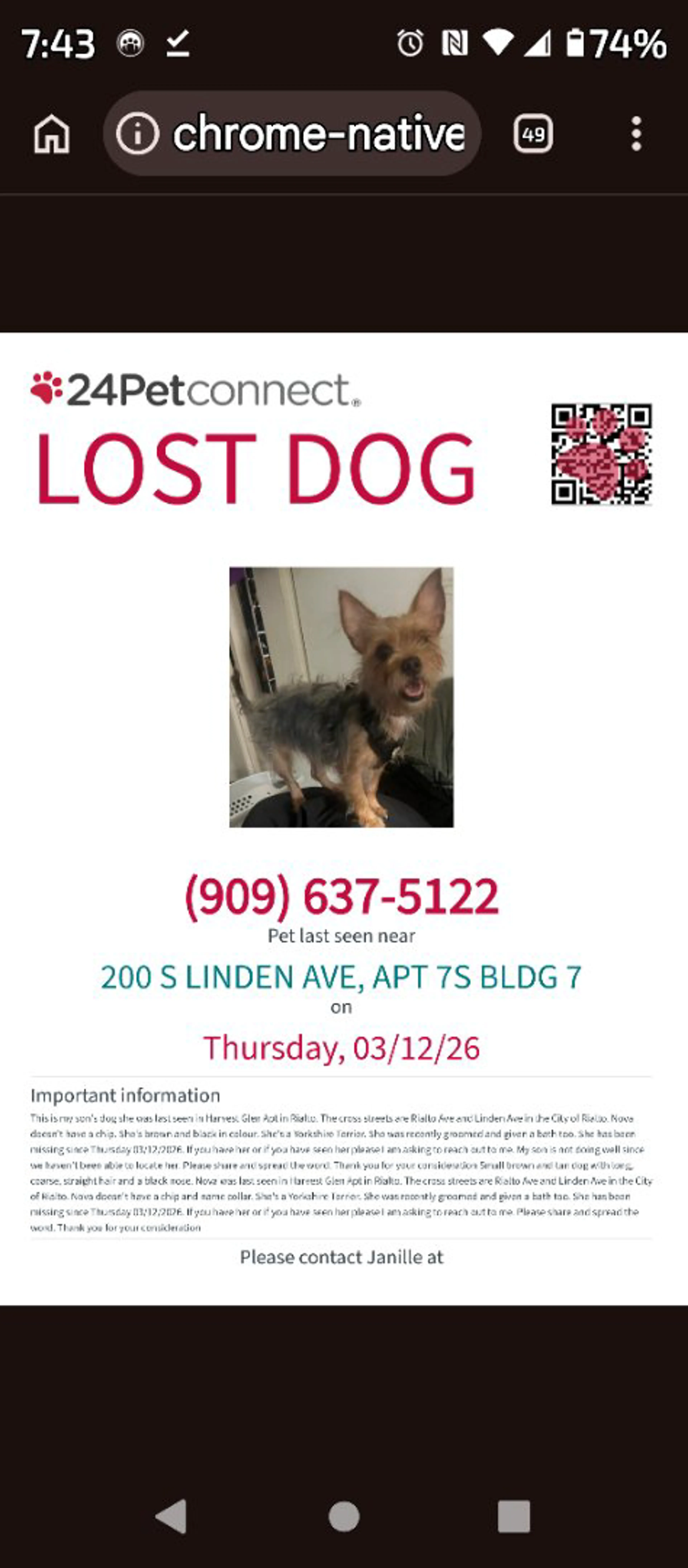 Lost pet