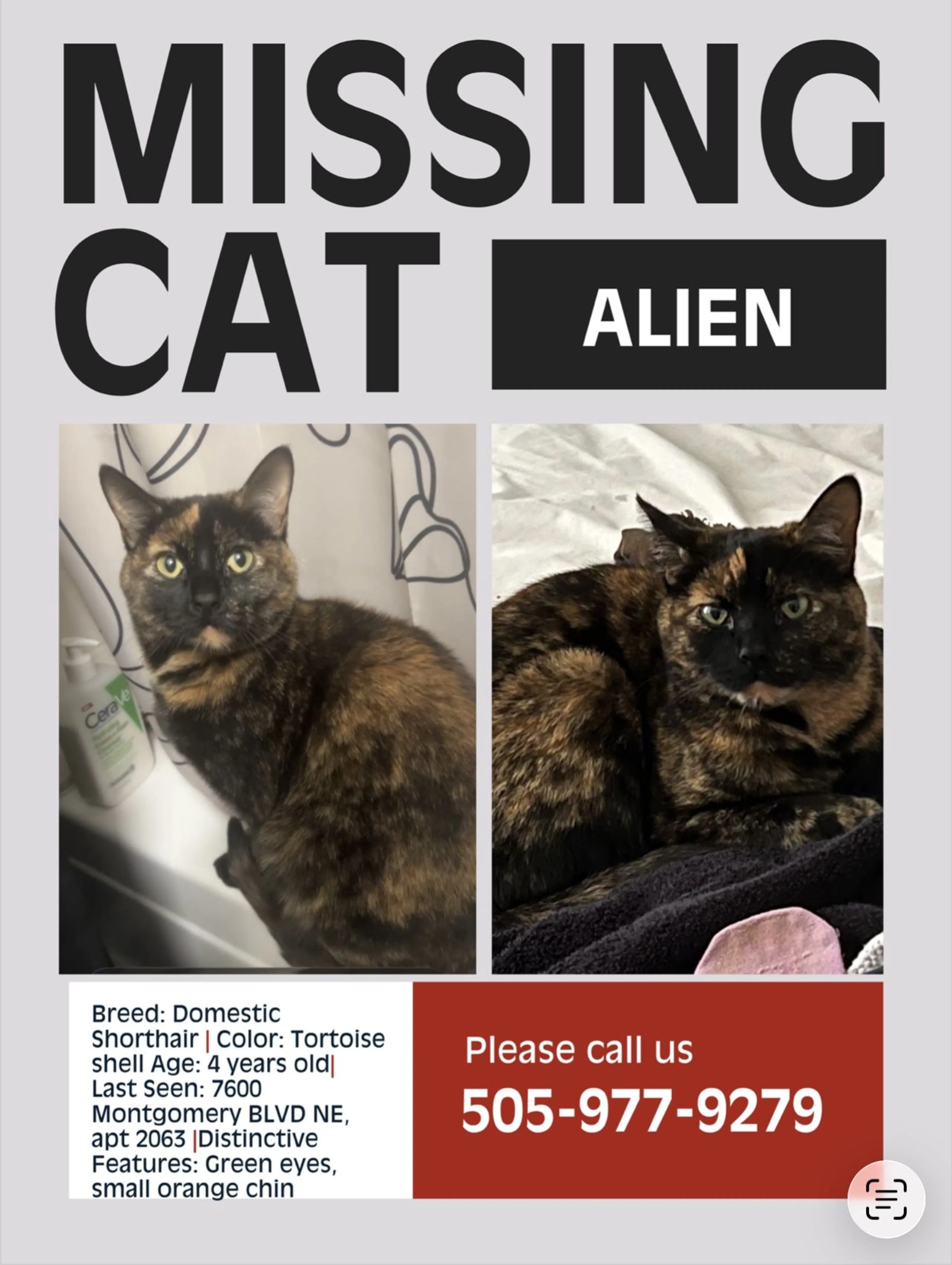 Lost pet