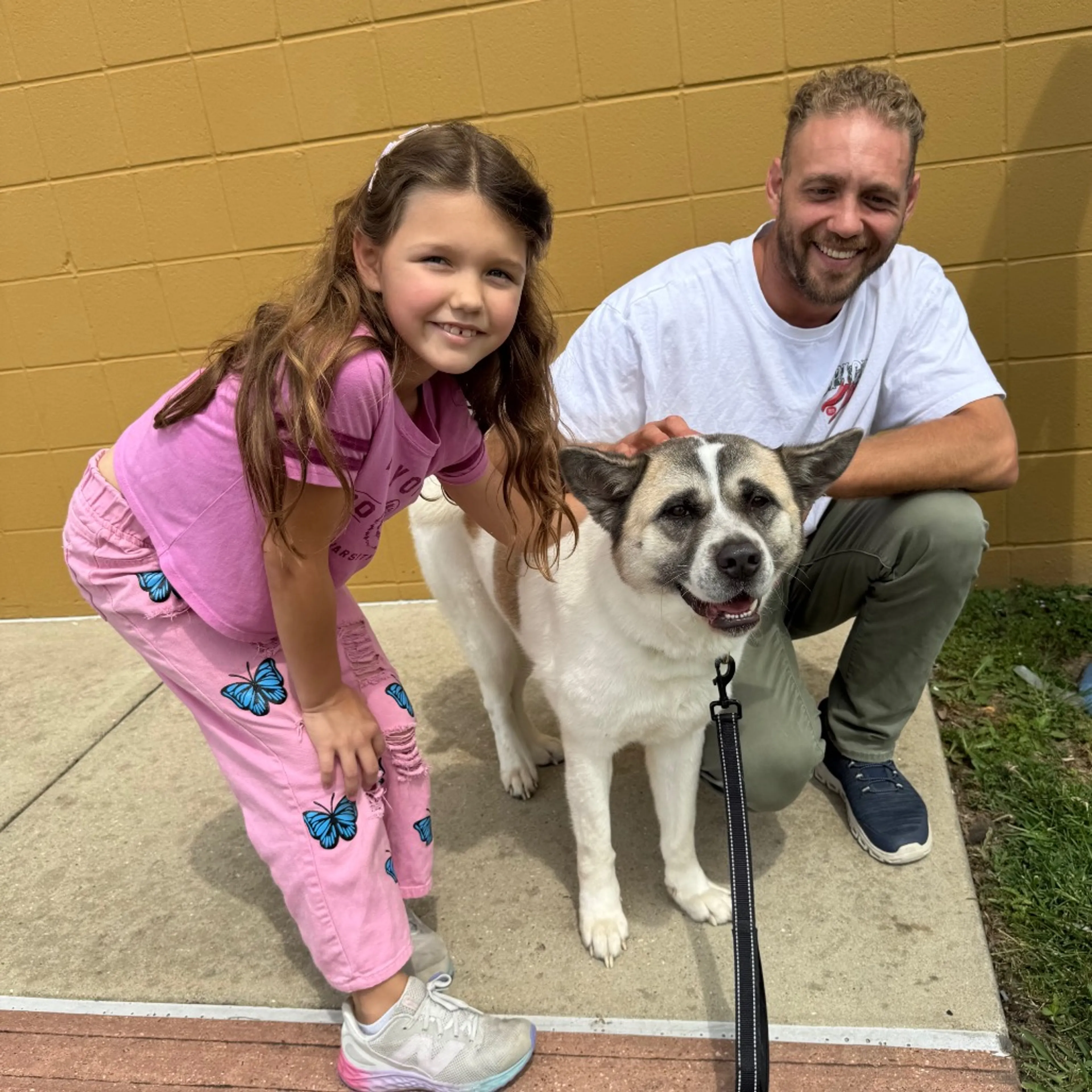 Found pet-11