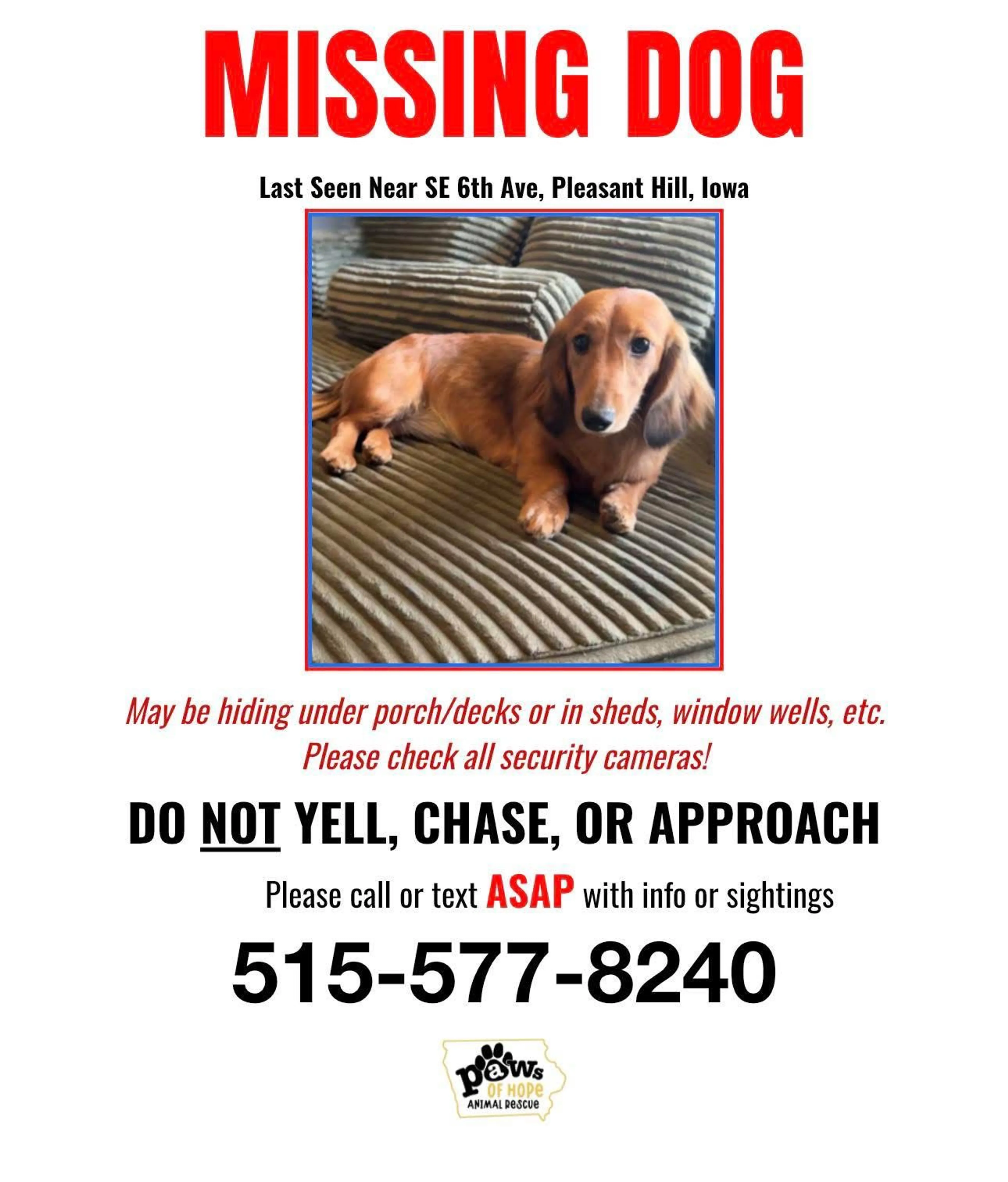 Lost pet