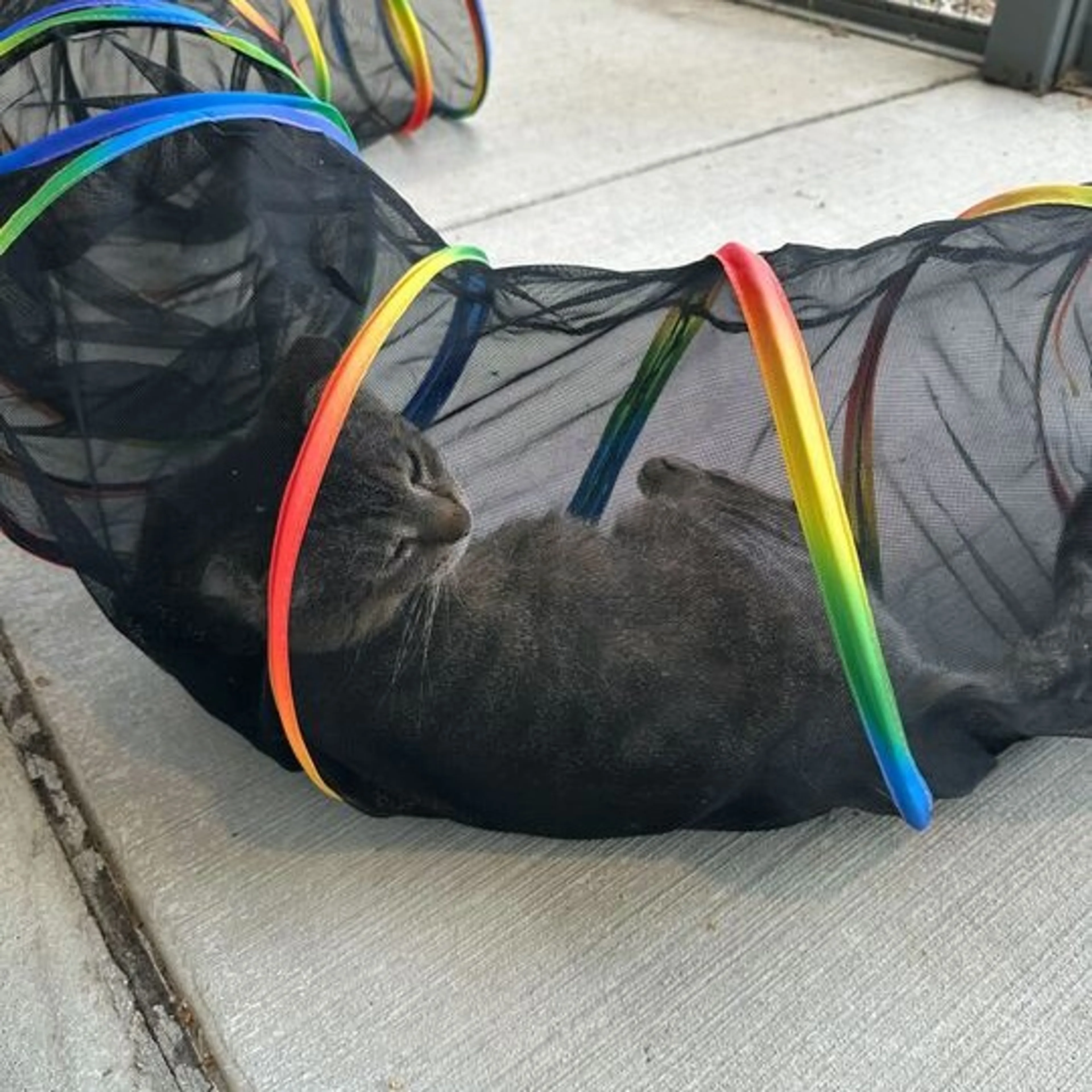 -16