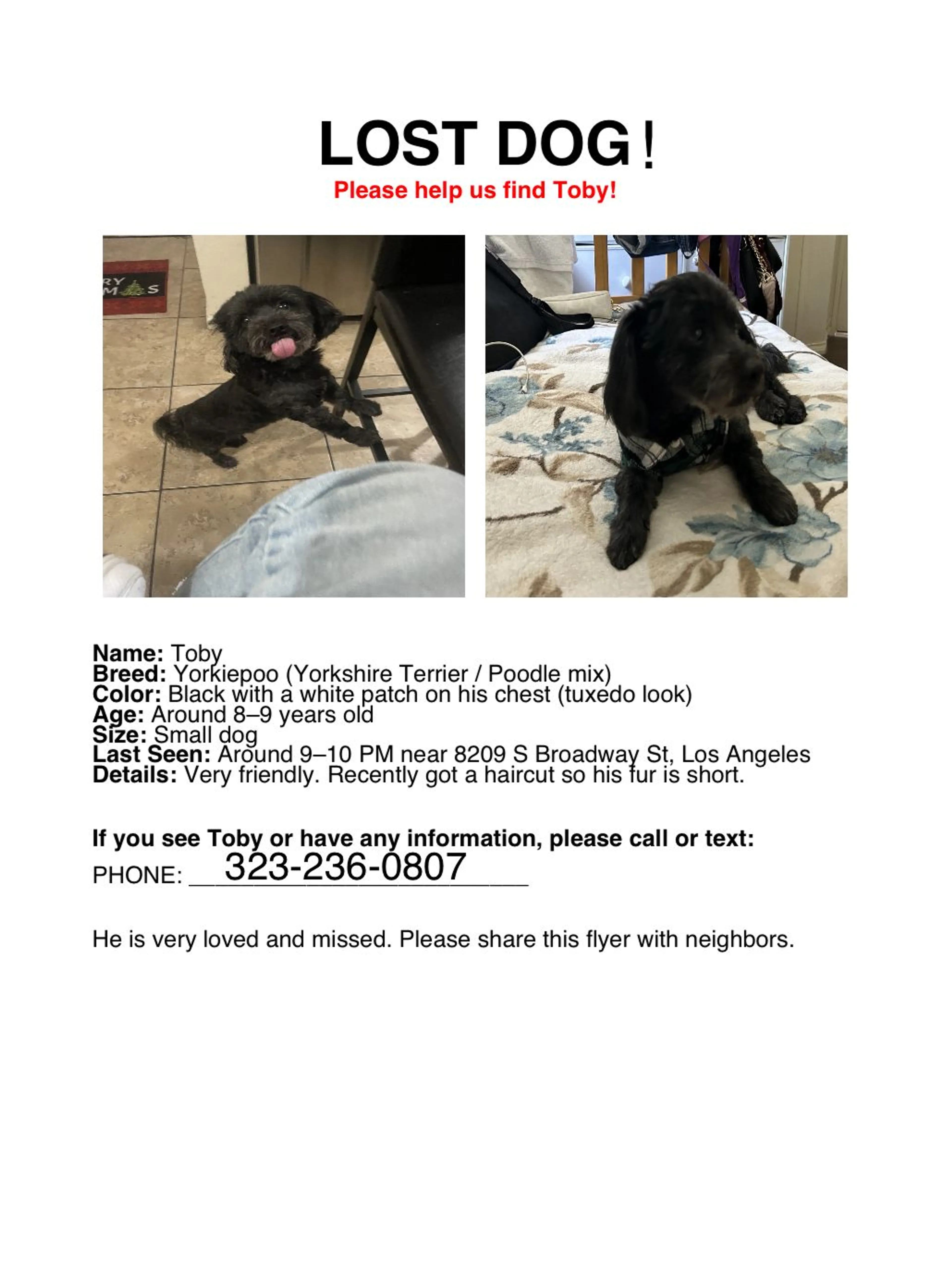Lost pet