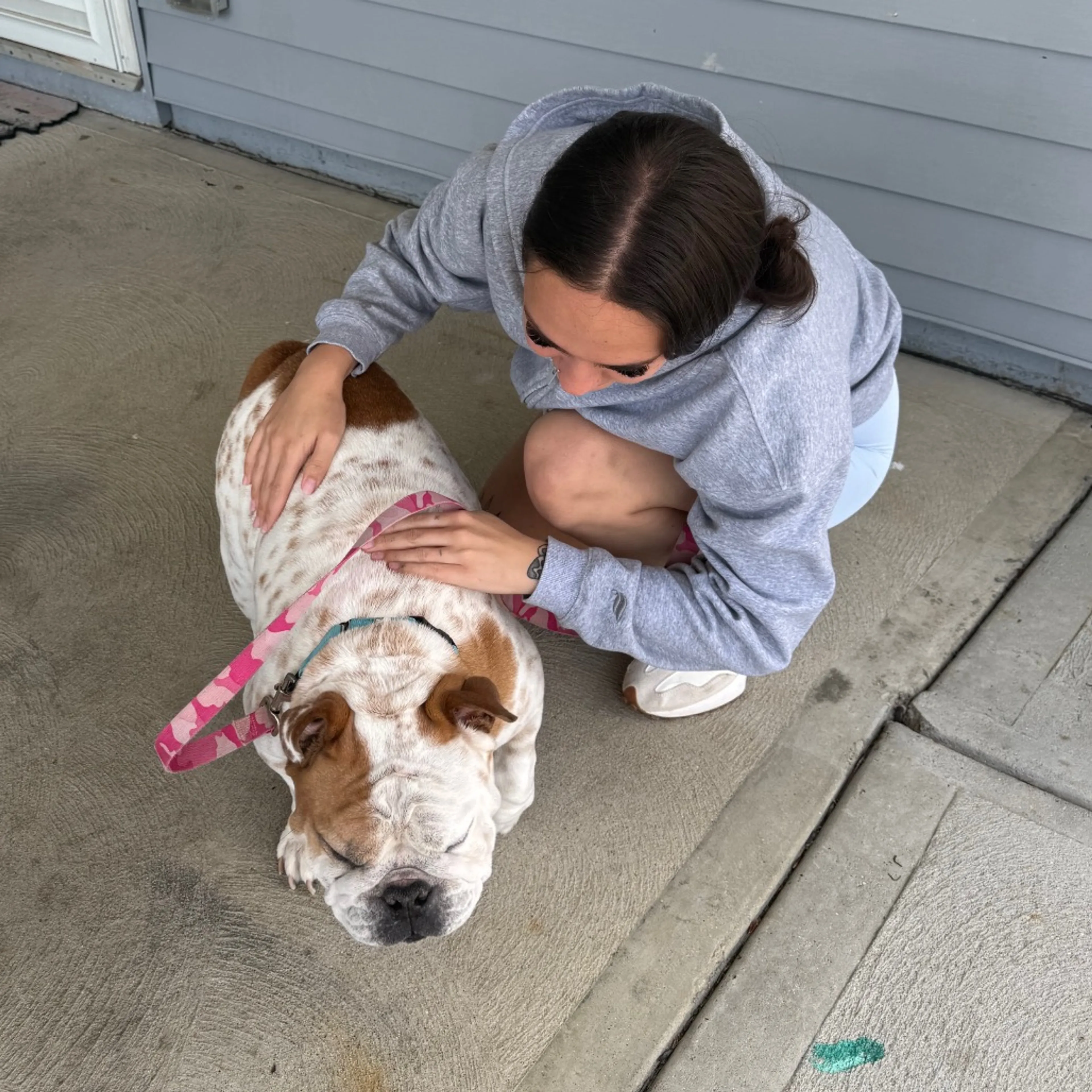 Found pet-2