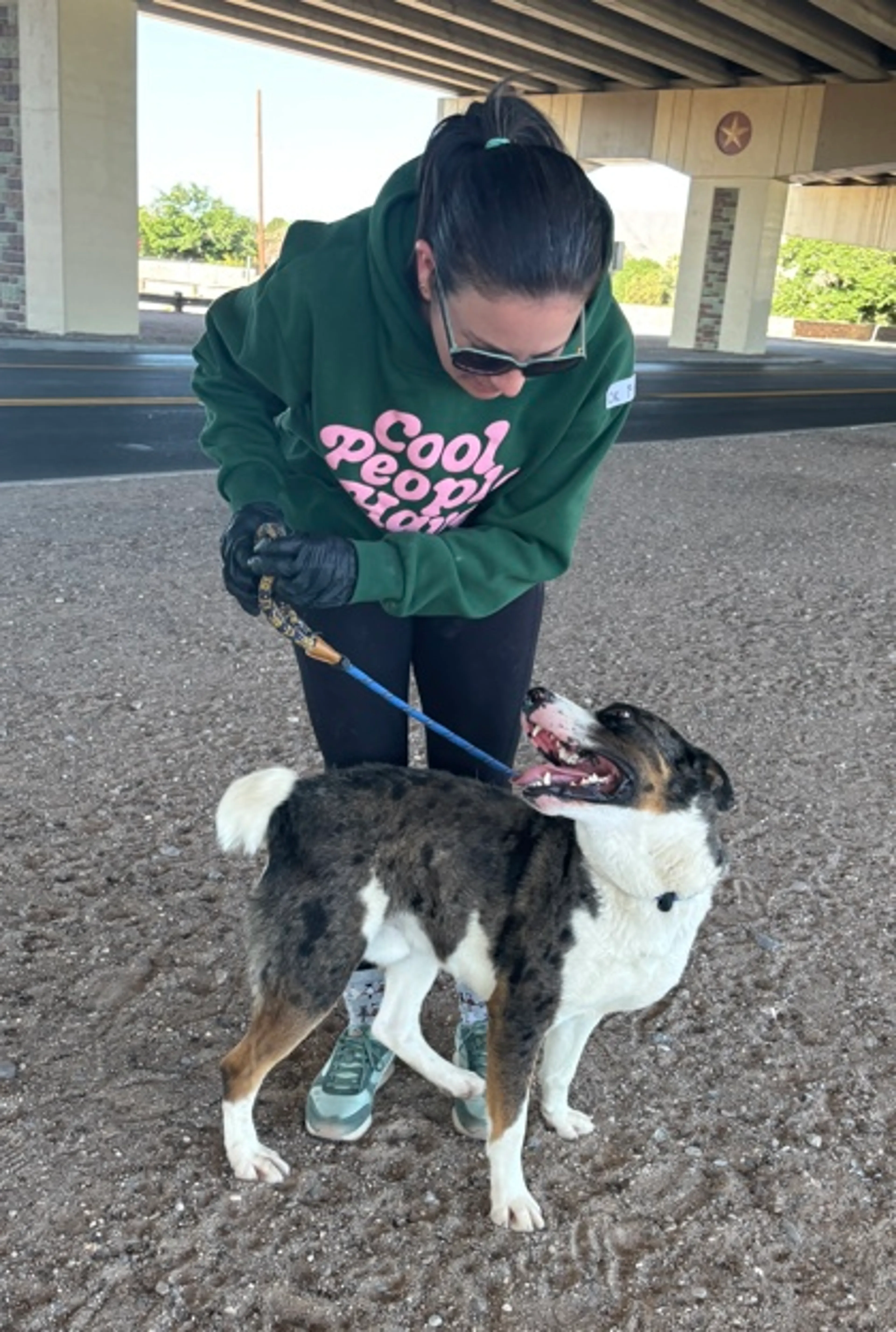 Found pet-2