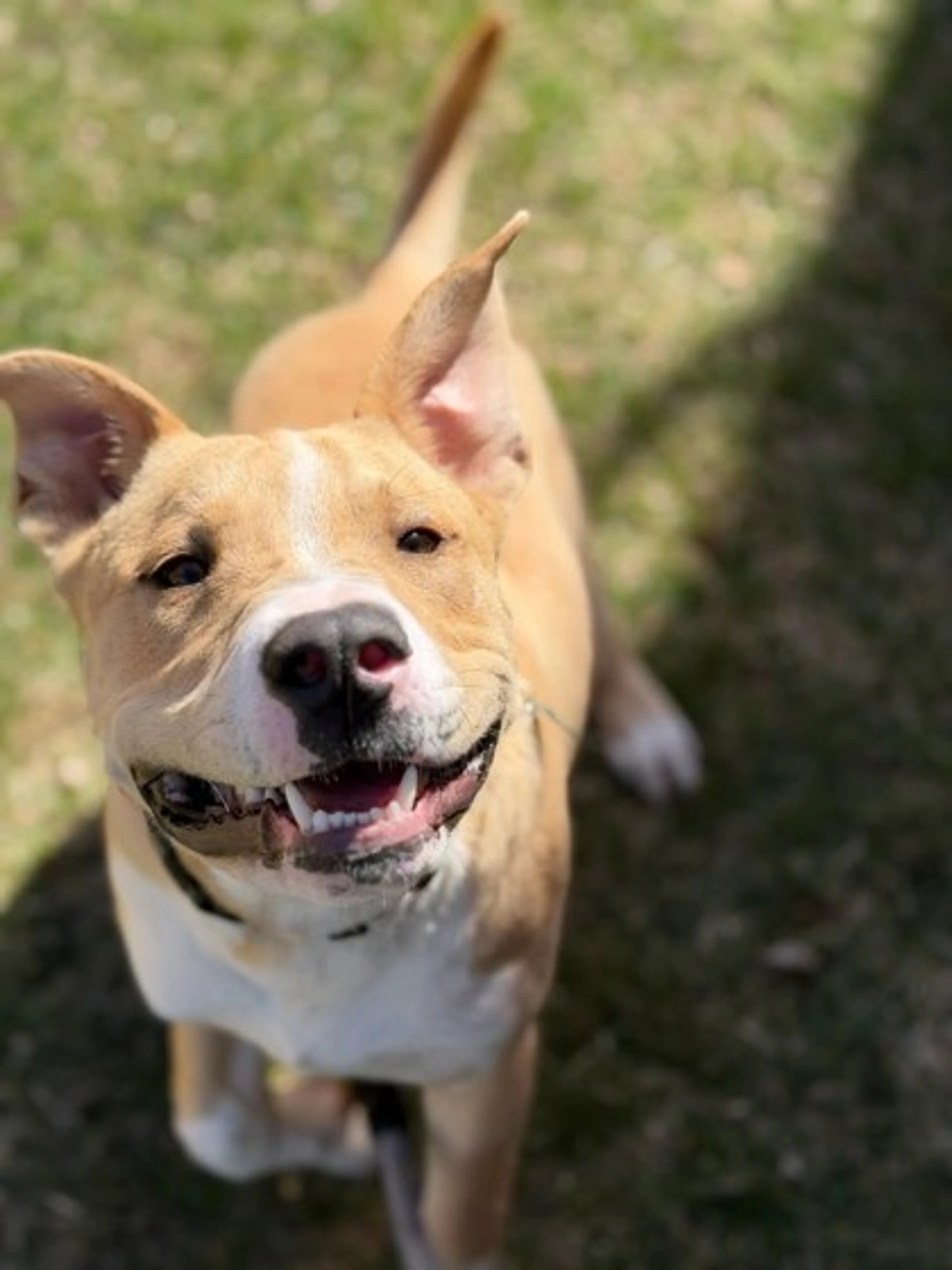 -1